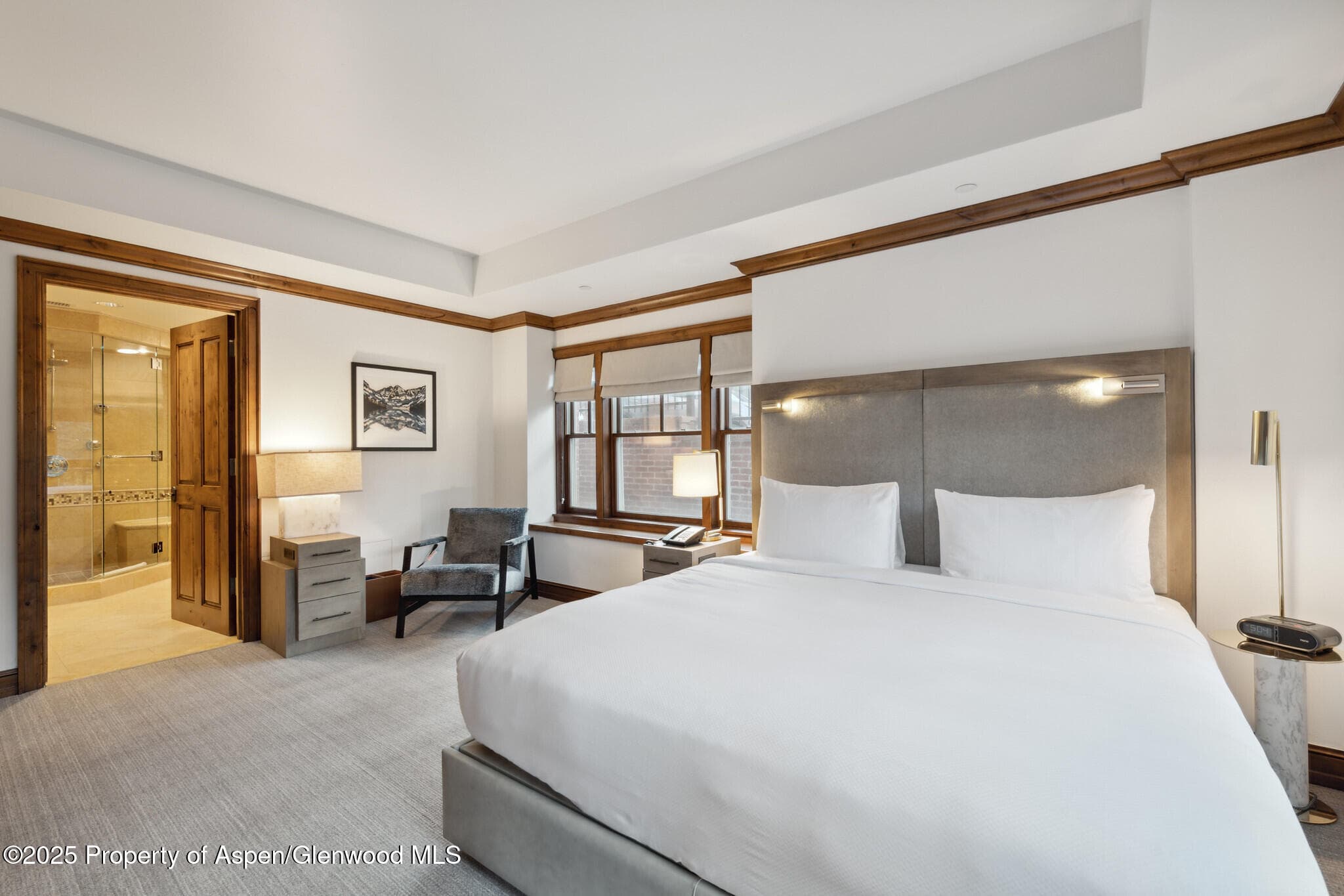 415 E Dean St., #25, Week 6, Aspen, CO 81611 - Photo 13