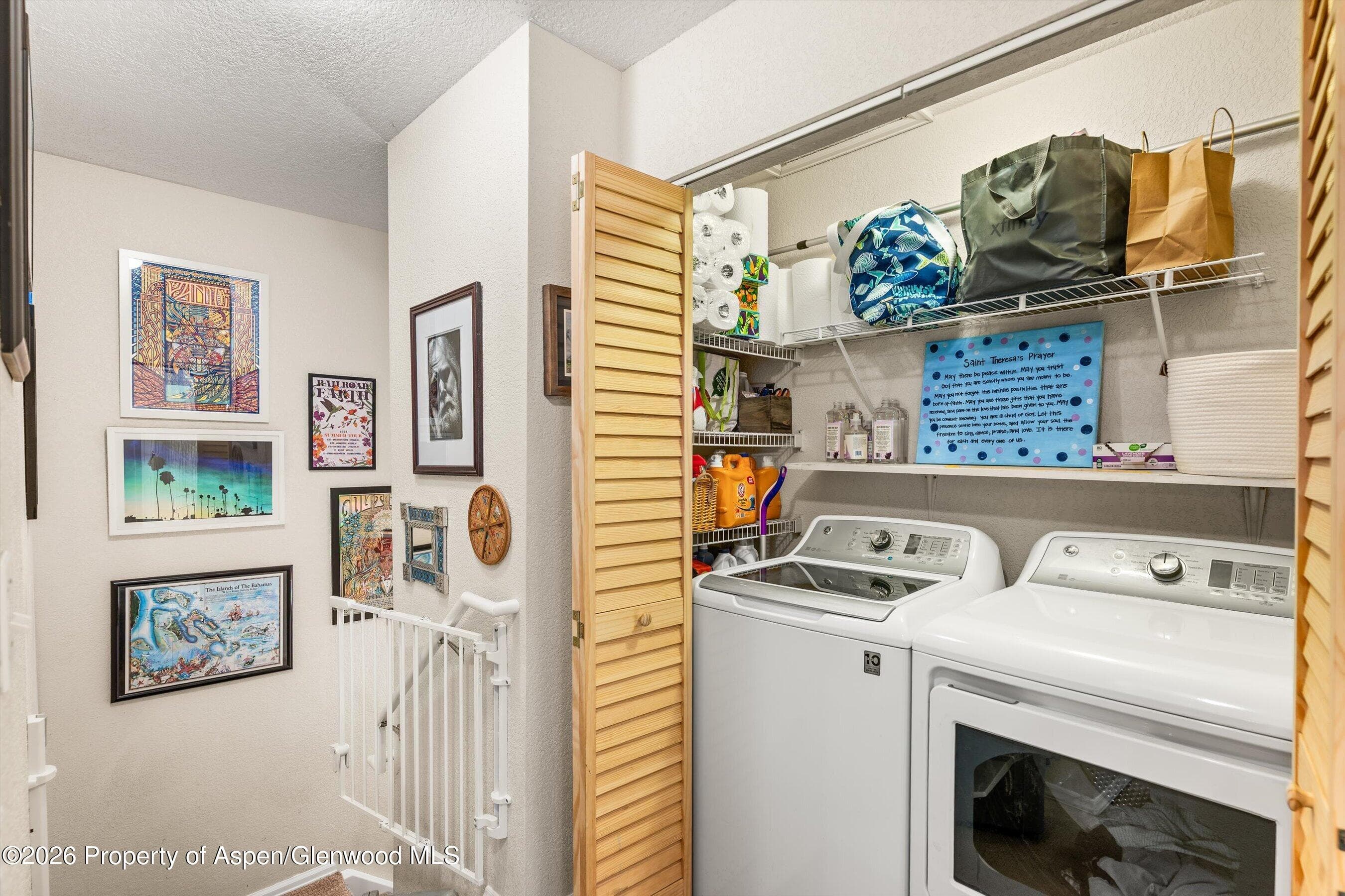 5203 Elk Lane, Basalt, CO 81621 - Photo 18