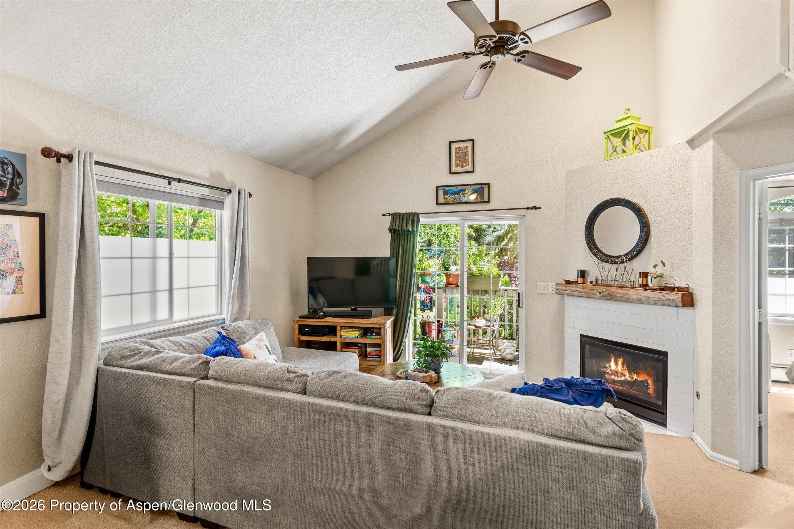 5203 Elk Lane, Basalt, CO 81621 - Photo 8