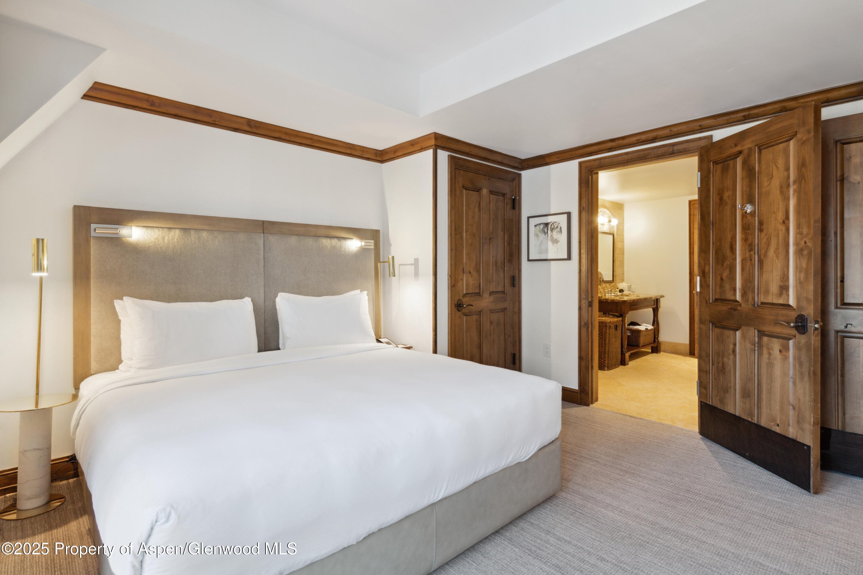 415 E Dean St, Unit 36, Week 33, Aspen, CO 81611 - Photo 13