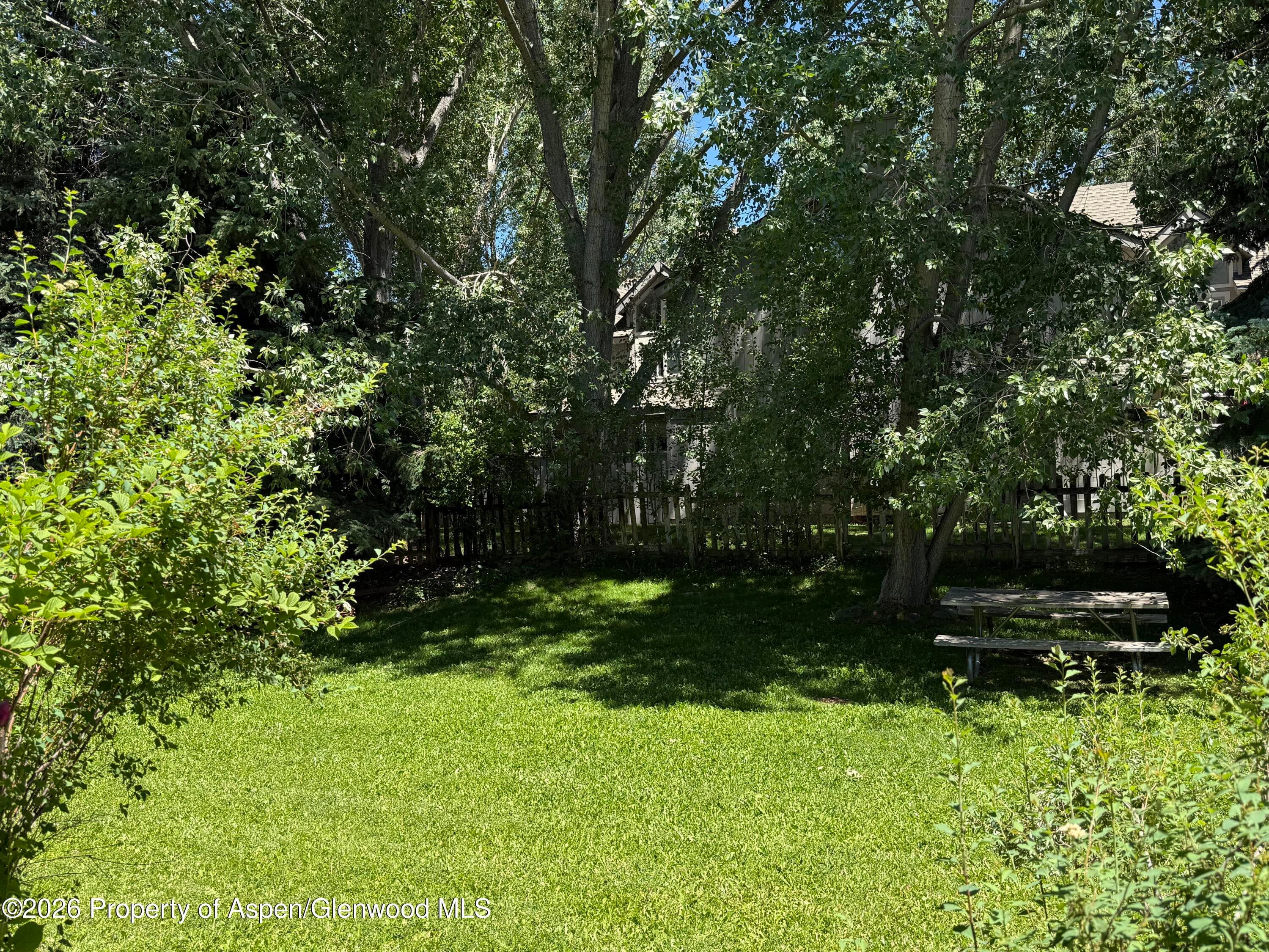 3102 Elk Lane, Basalt, CO 81621 - Photo 13