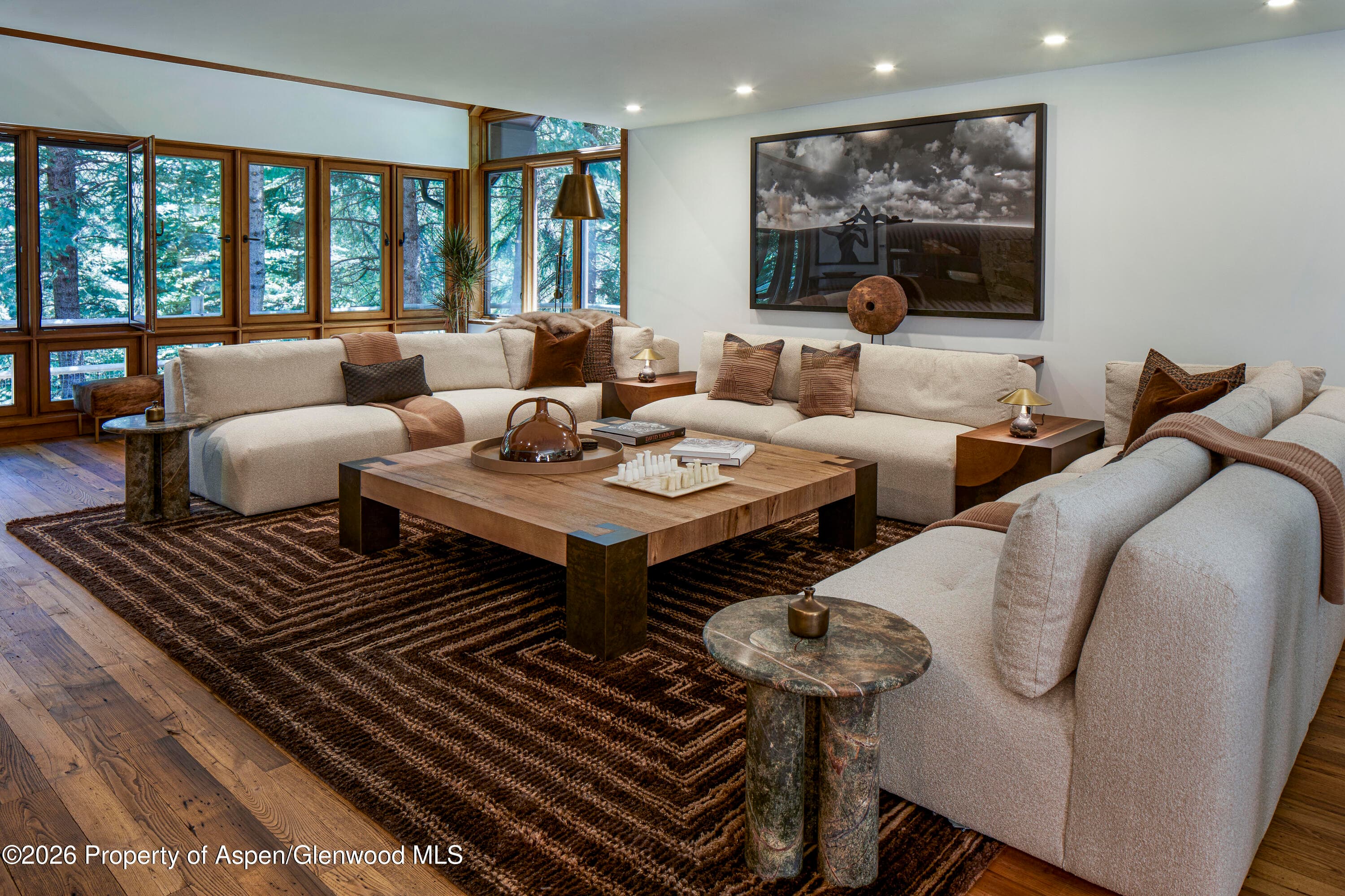 970 Powder Lane, Aspen, CO 81611 - Photo 12