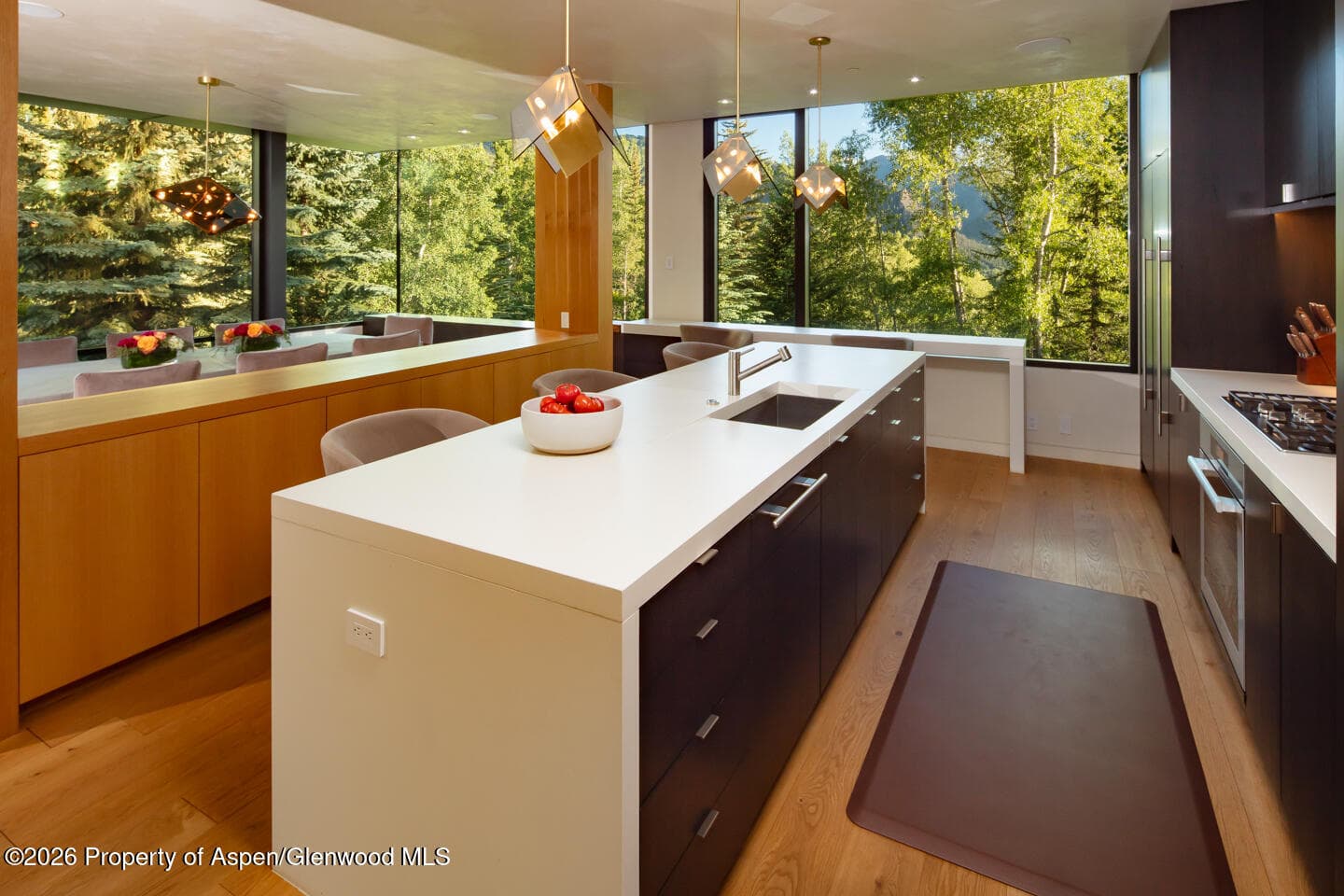 979 Red Mountain Road, Aspen, CO 81611 - Photo 10