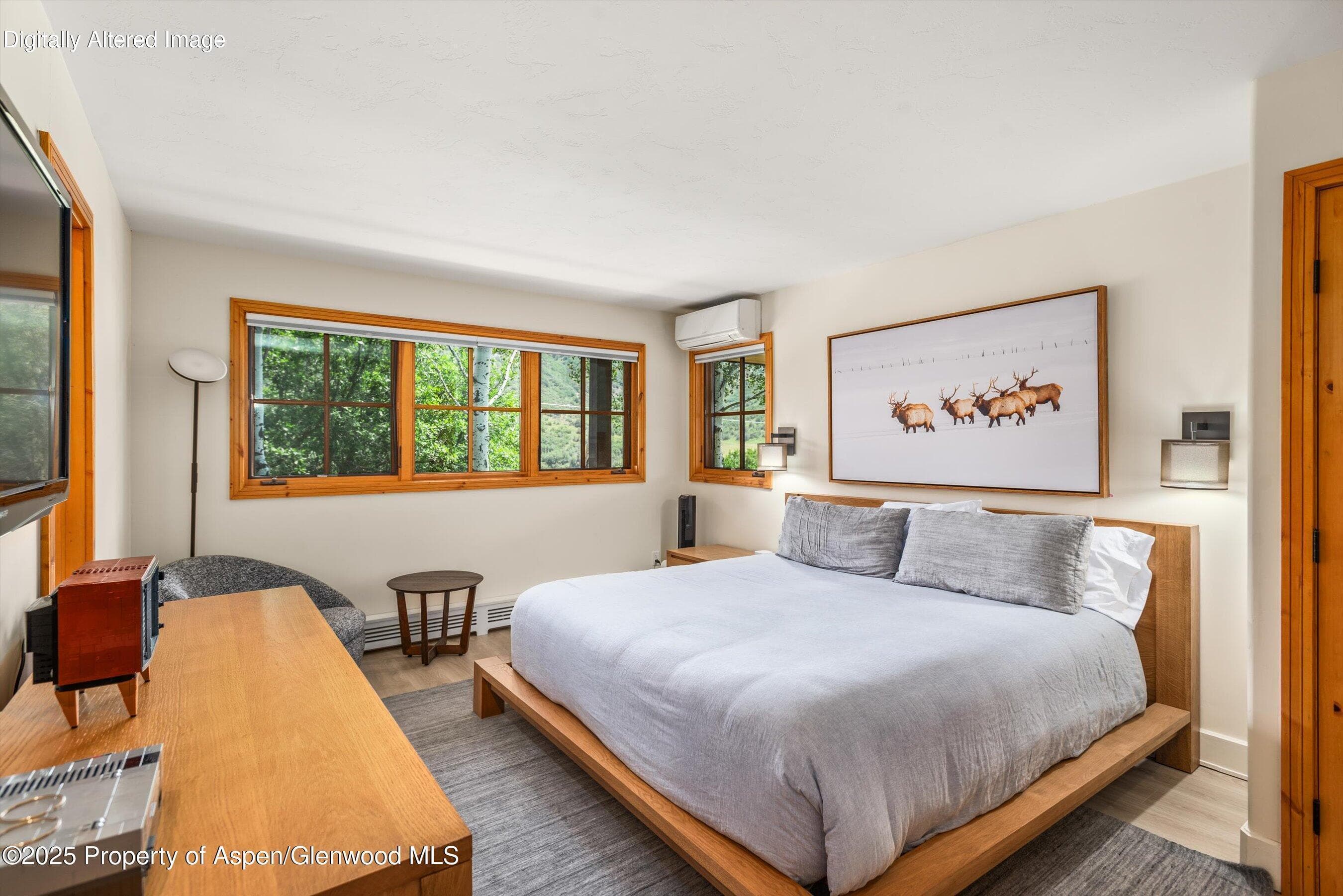 701 Brush Creek Road, Aspen, CO 81611 - Photo 16