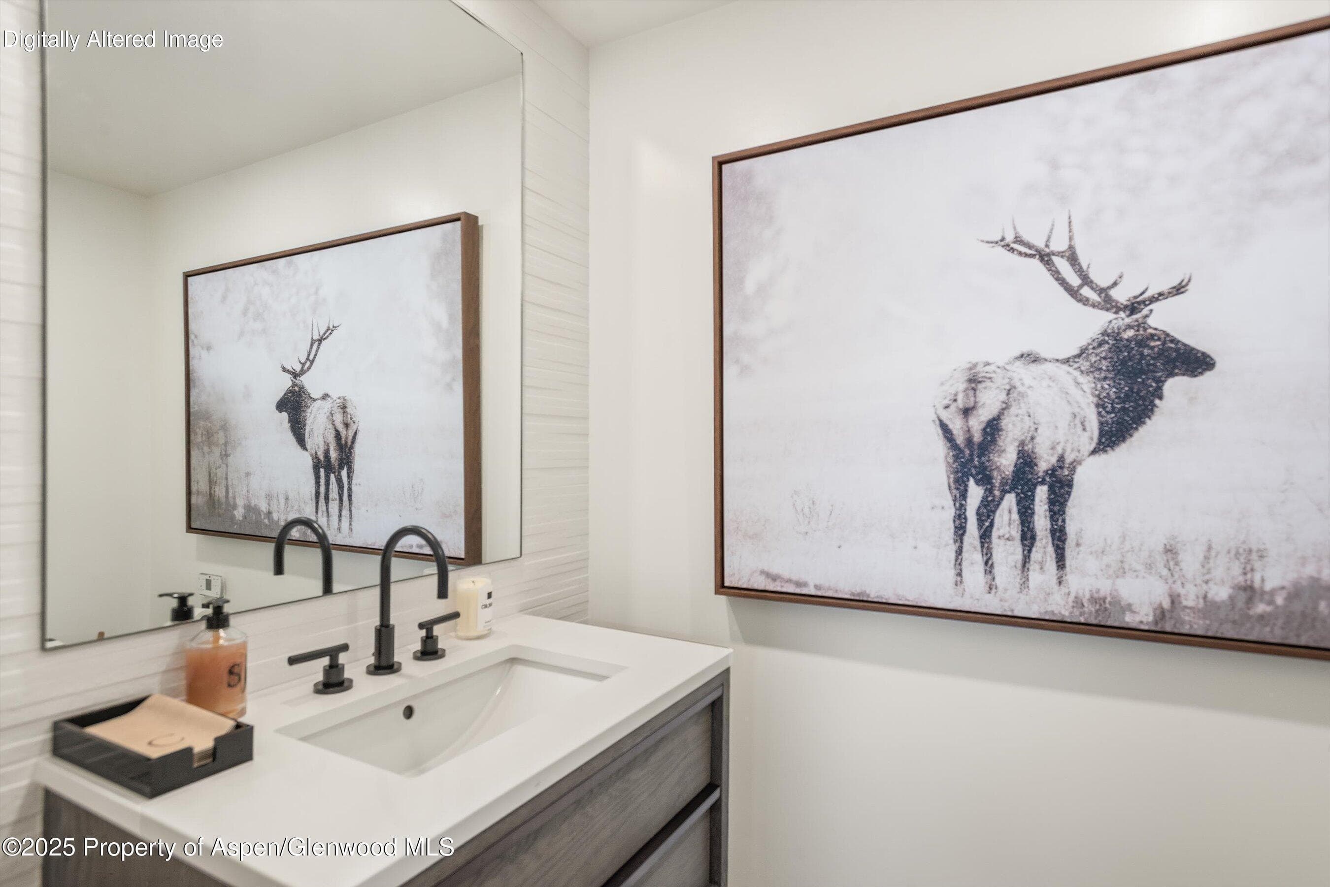 701 Brush Creek Road, Aspen, CO 81611 - Photo 15