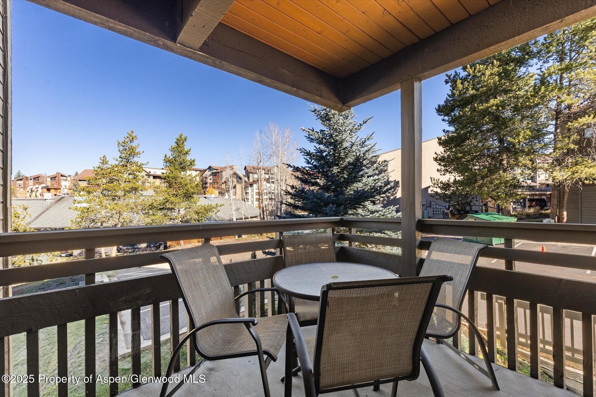 2700 Village Drive D204, Steamboat, CO 80487 - Photo 11