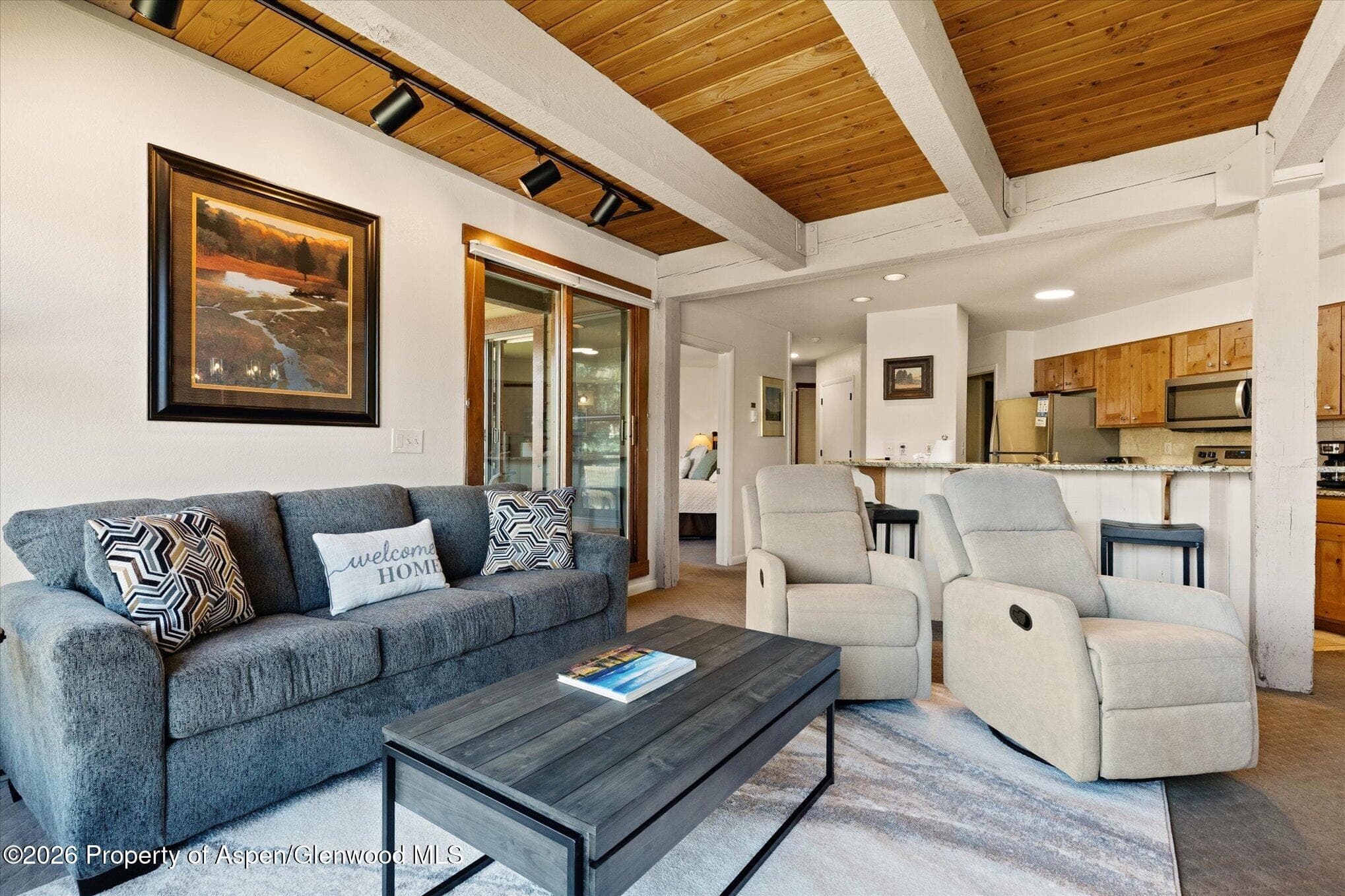 2700 Village Drive D204, Steamboat, CO 80487 - Photo 4