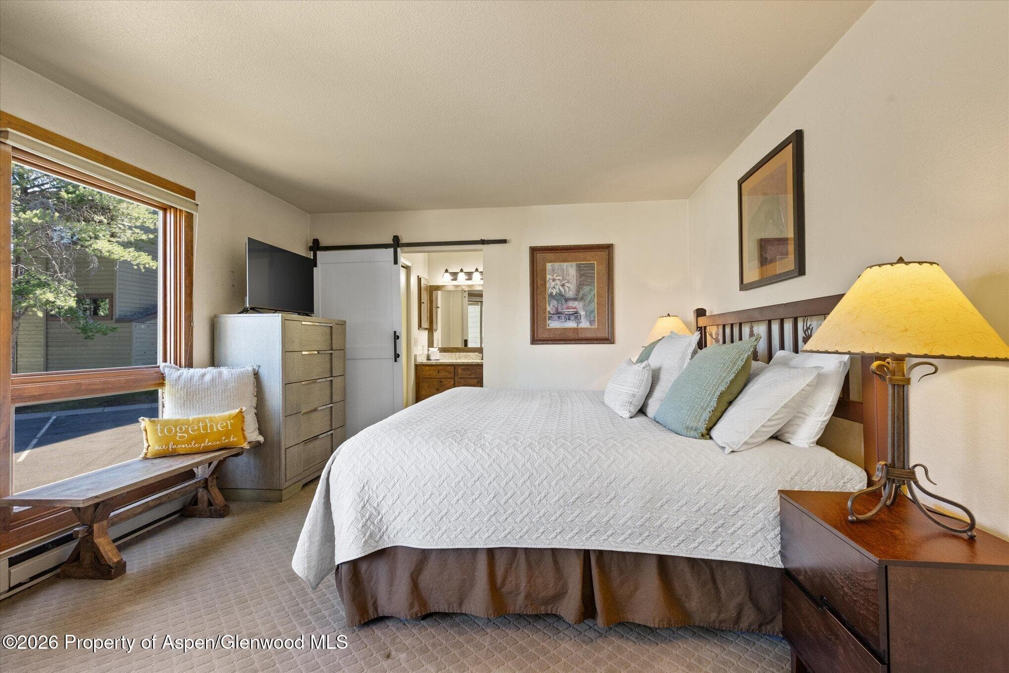 2700 Village Drive D204, Steamboat, CO 80487 - Photo 15