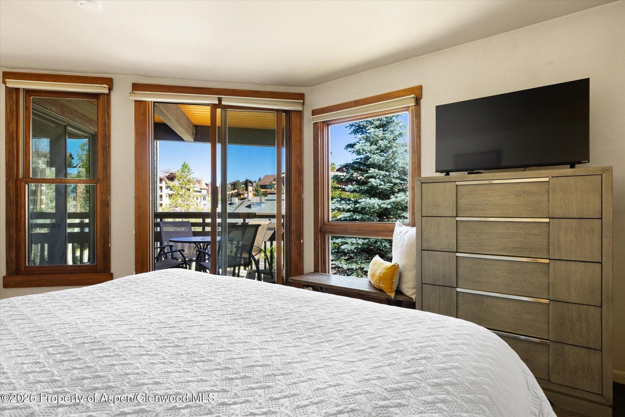 2700 Village Drive D204, Steamboat, CO 80487 - Photo 16