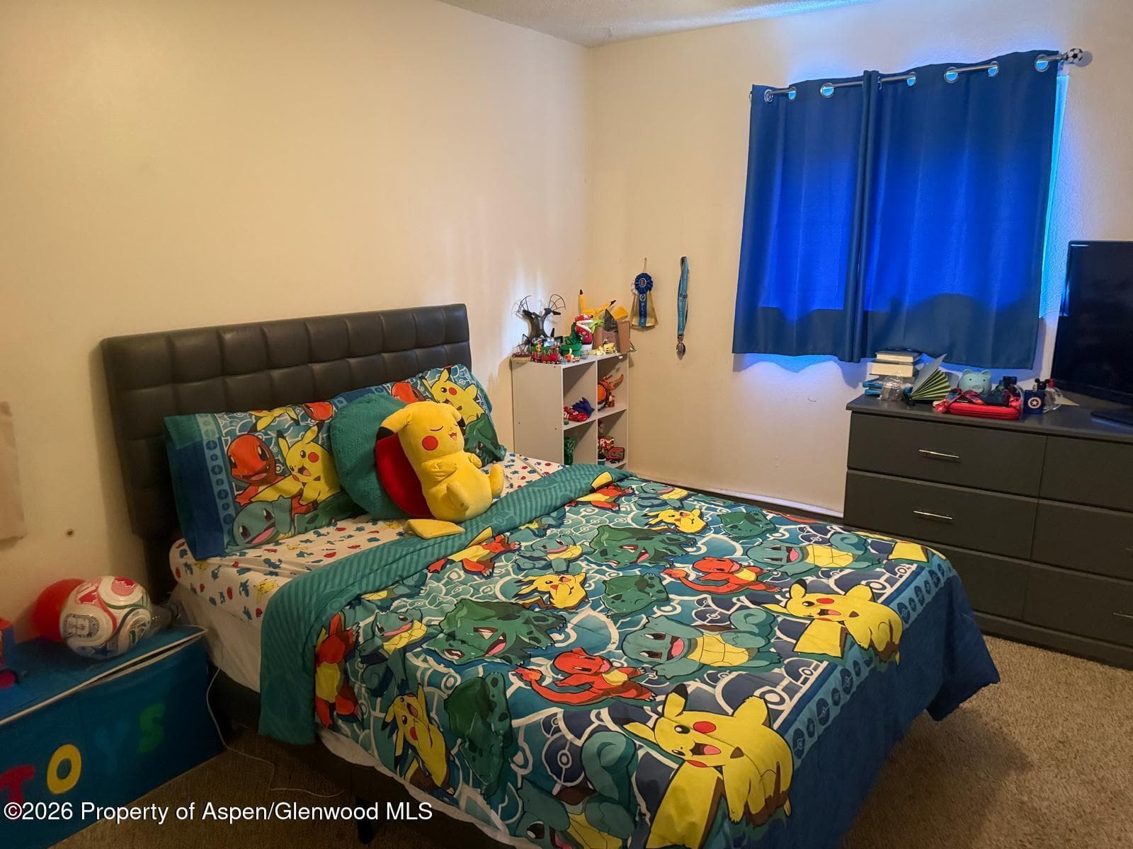 51519 Highway 6 C51, Glenwood Springs, CO 81601 - Photo 7