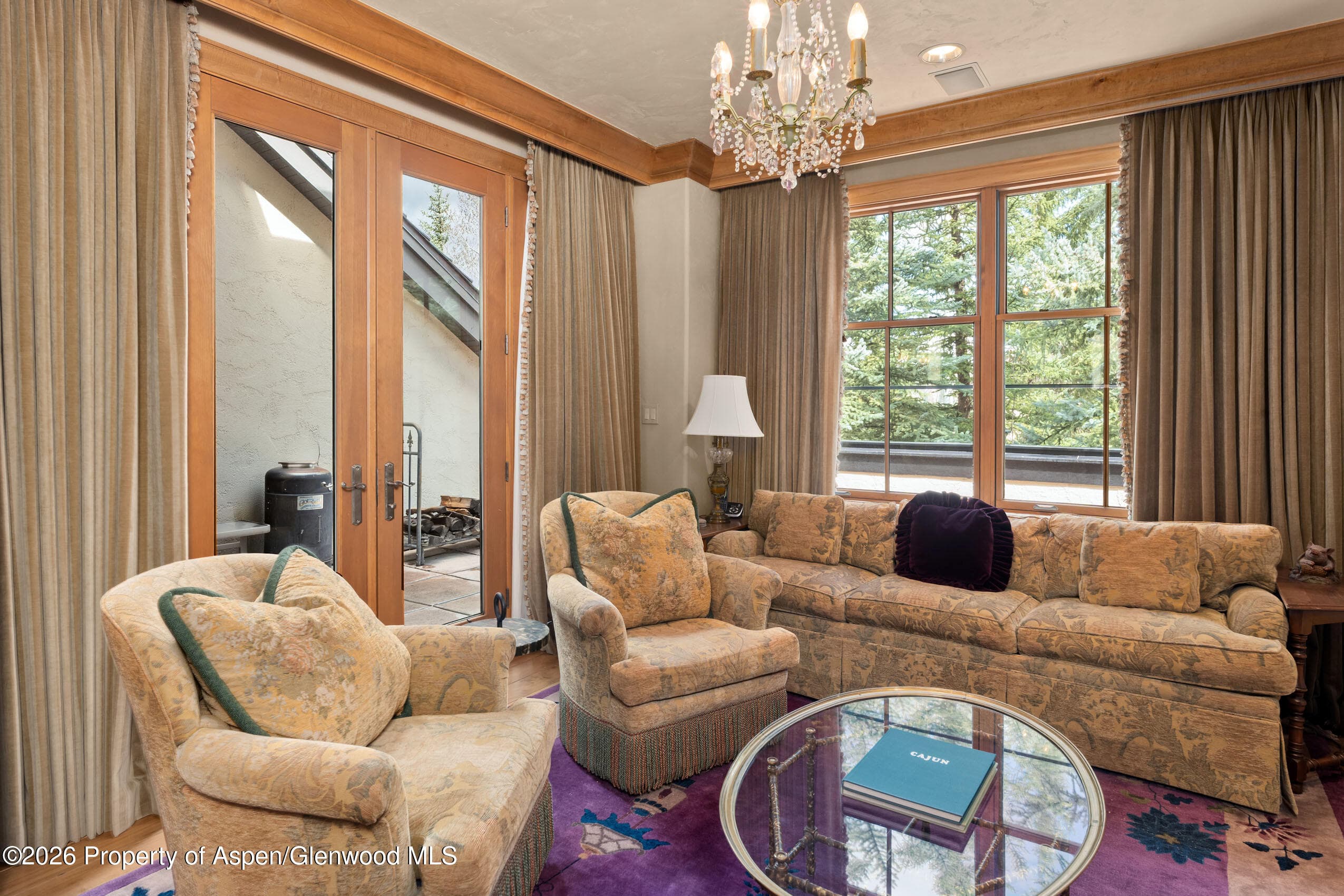 102 Burnt Mountain Drive #2, Snowmass Village, CO 81615 - Photo 10