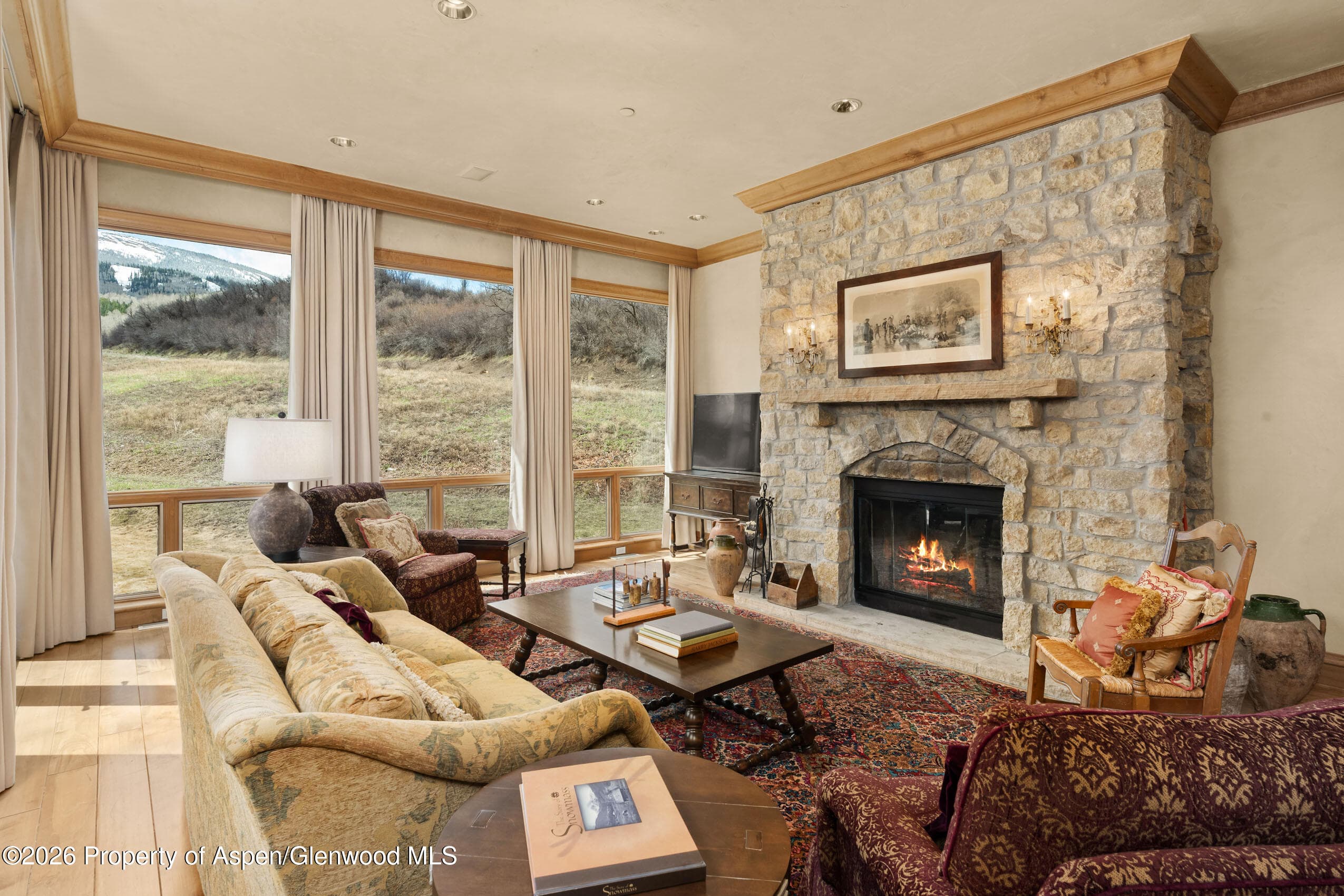 102 Burnt Mountain Drive #2, Snowmass Village, CO 81615 - Photo 5