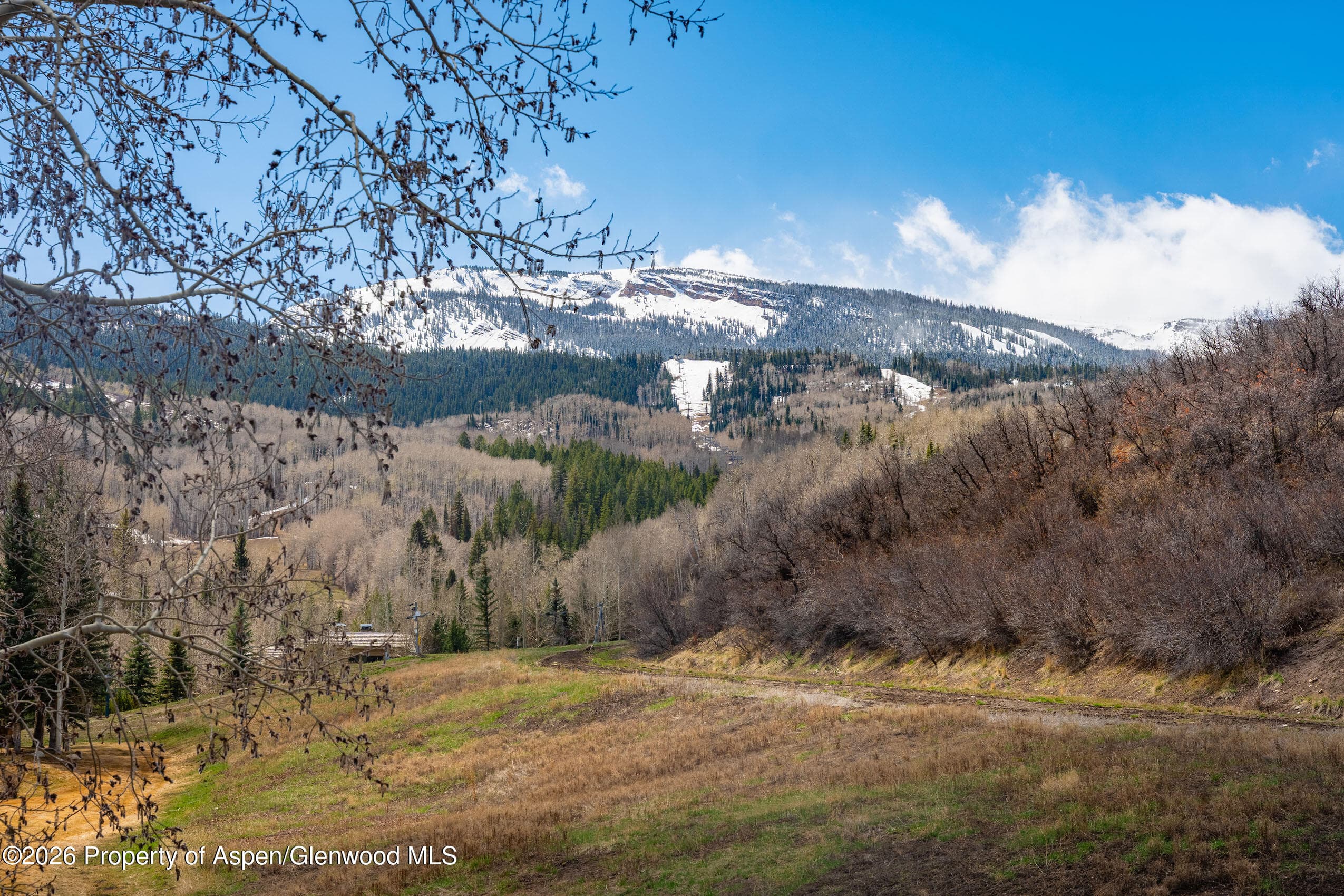 102 Burnt Mountain Drive #2, Snowmass Village, CO 81615 - Photo 2