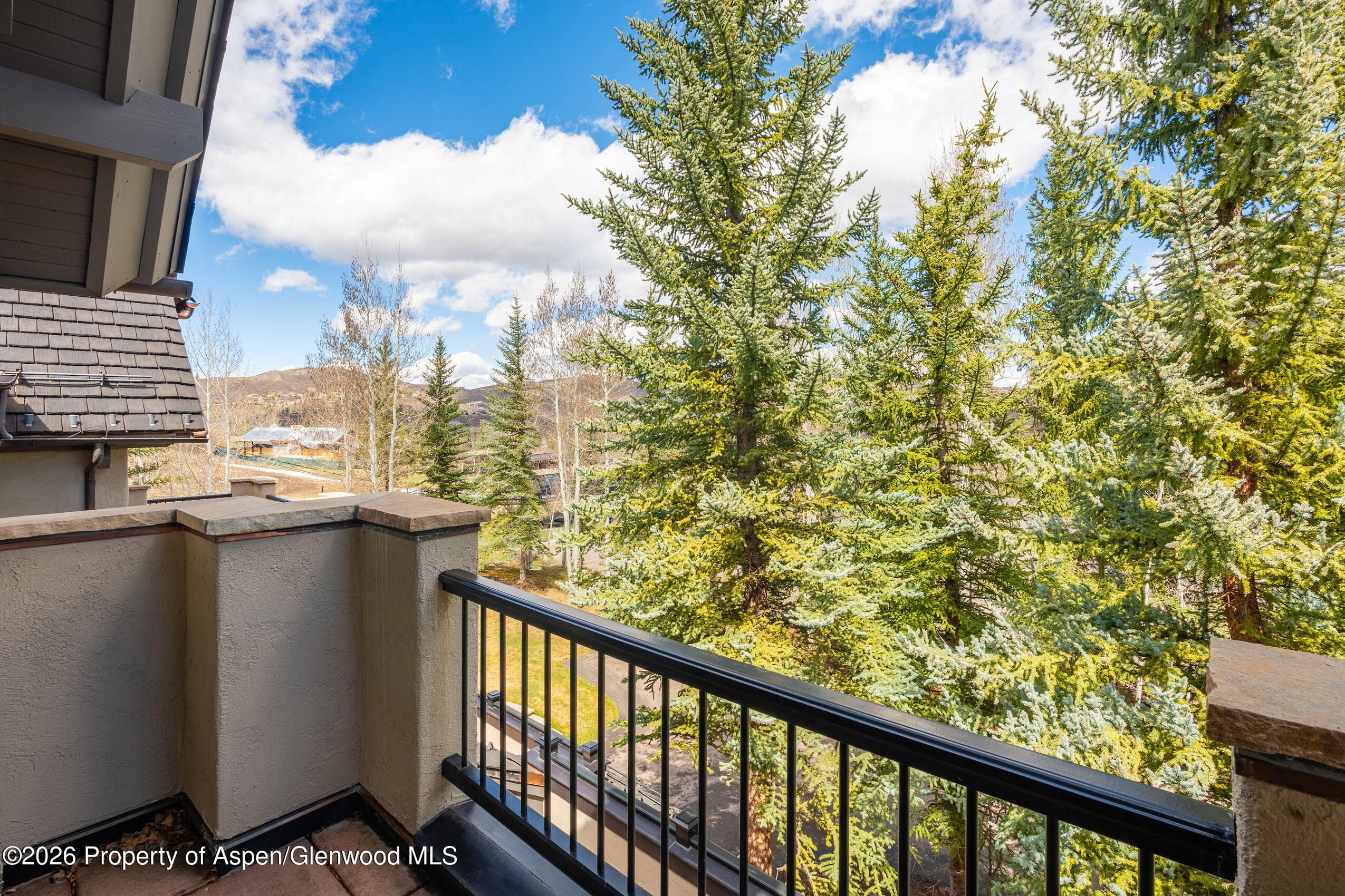 102 Burnt Mountain Drive #2, Snowmass Village, CO 81615 - Photo 19