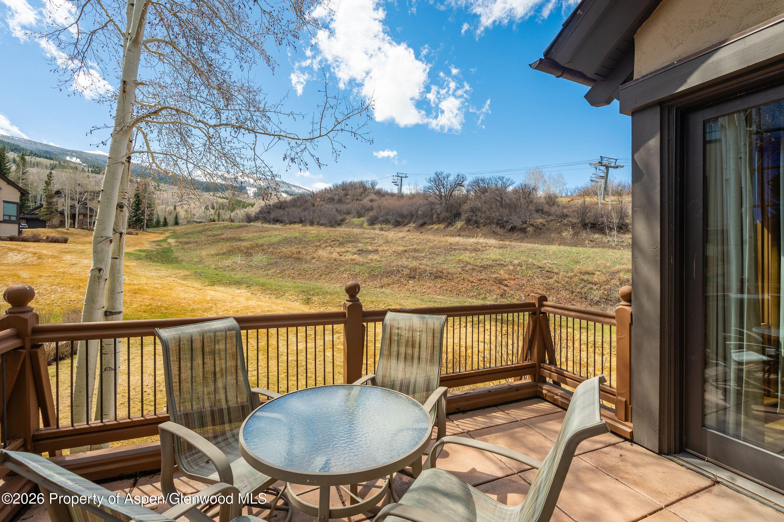 102 Burnt Mountain Drive #2, Snowmass Village, CO 81615 - Photo 13