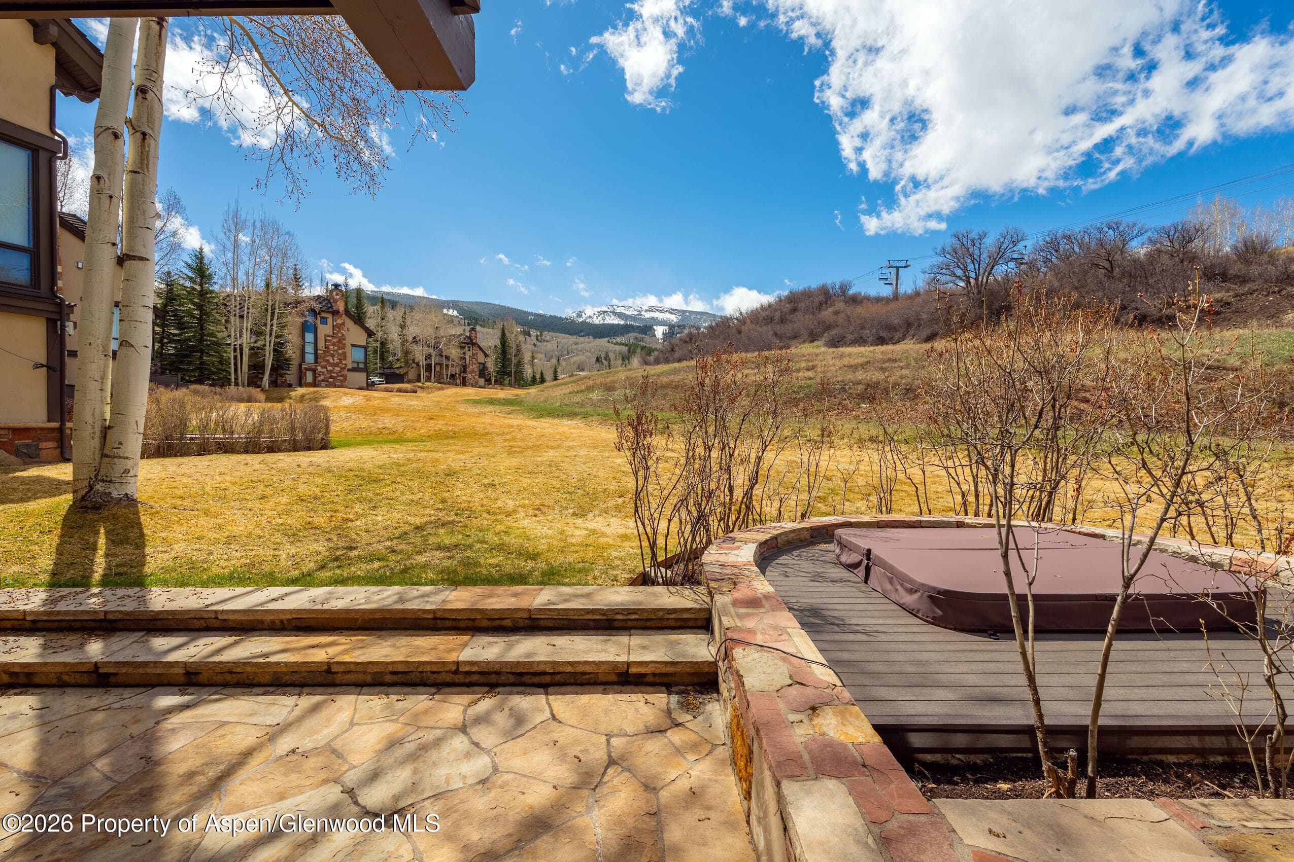 102 Burnt Mountain Drive #2, Snowmass Village, CO 81615 - Photo 25