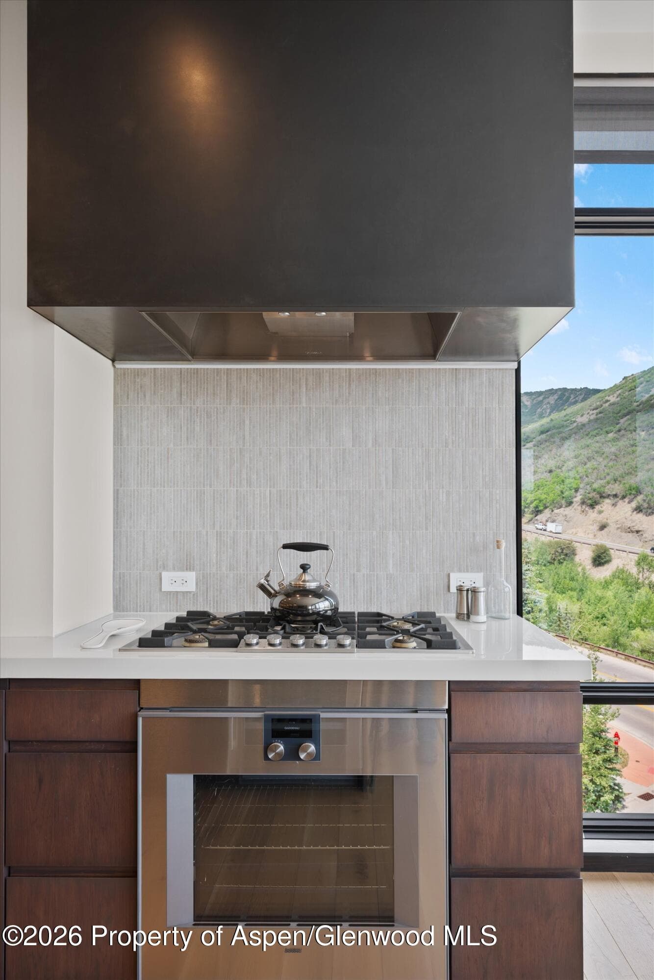 45 Wood Road 401, Snowmass Village, CO 81615 - Photo 11