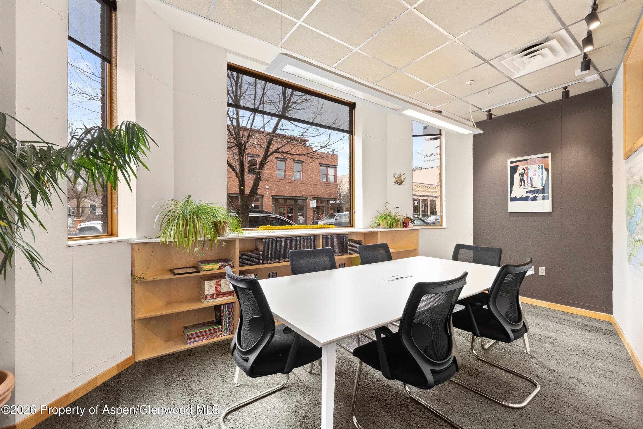 311 Main Street 102, Carbondale, CO 81623