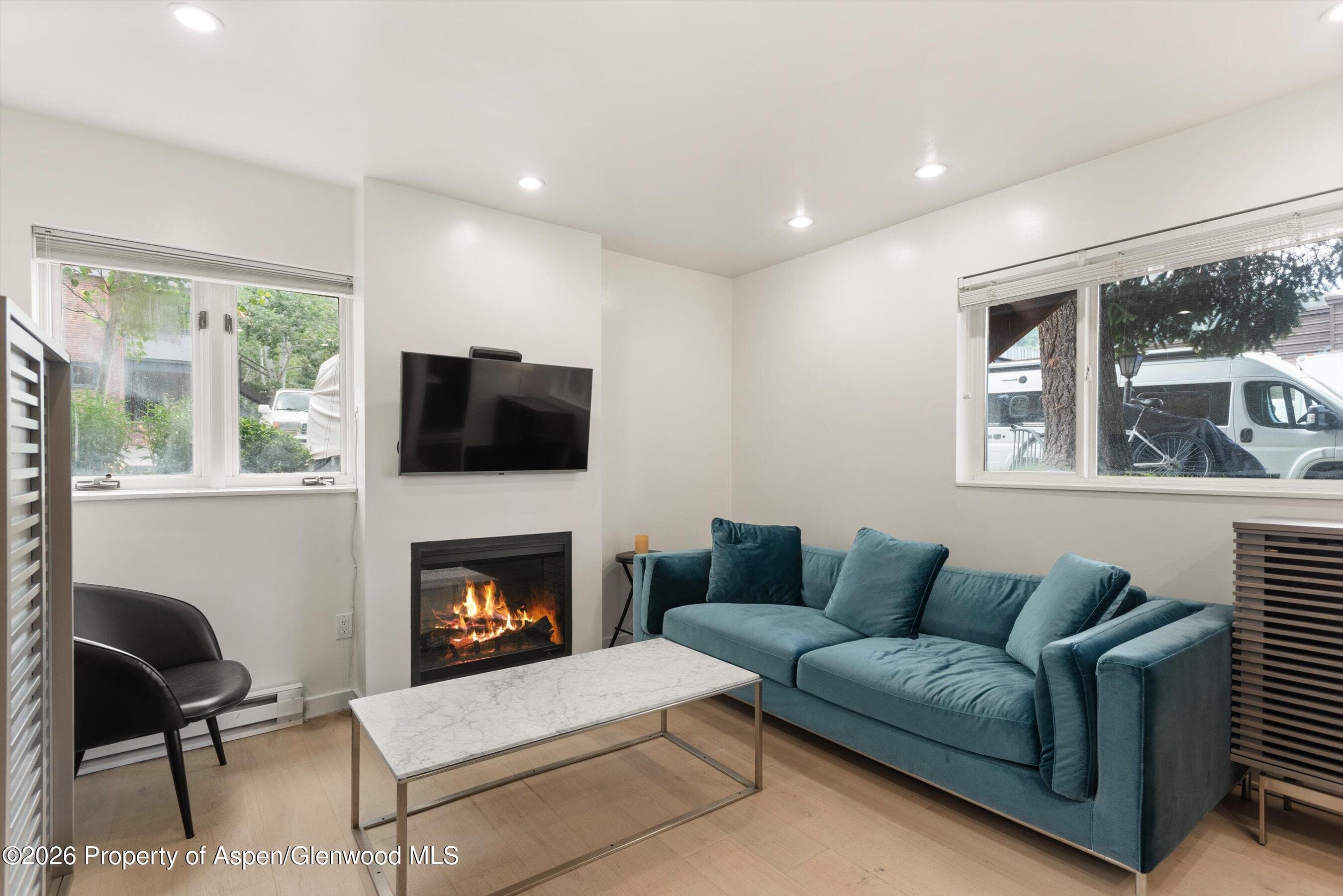 805 E Cooper Avenue 2, Aspen, CO 81611