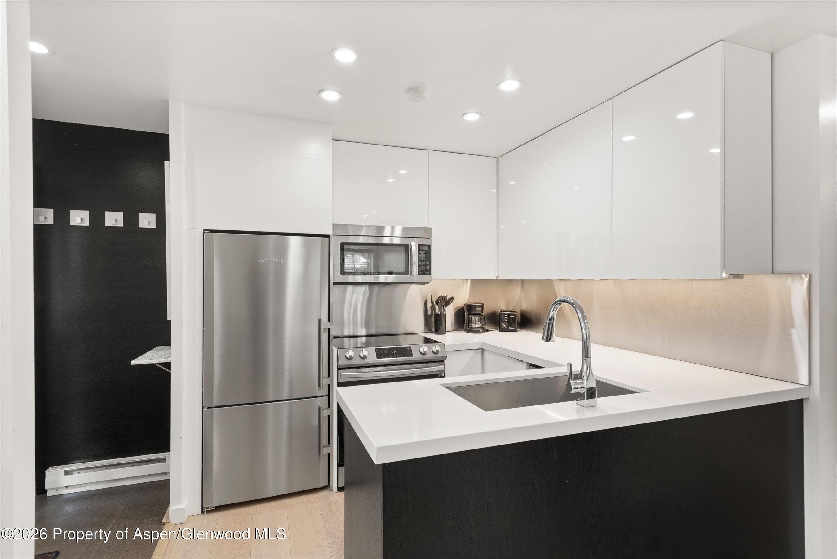 805 E Cooper Avenue 2, Aspen, CO 81611 - Photo 4