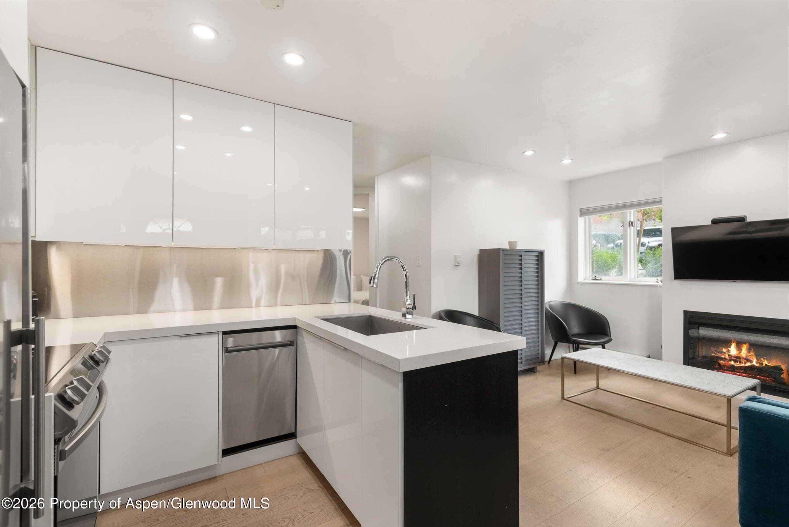 805 E Cooper Avenue 2, Aspen, CO 81611 - Photo 6