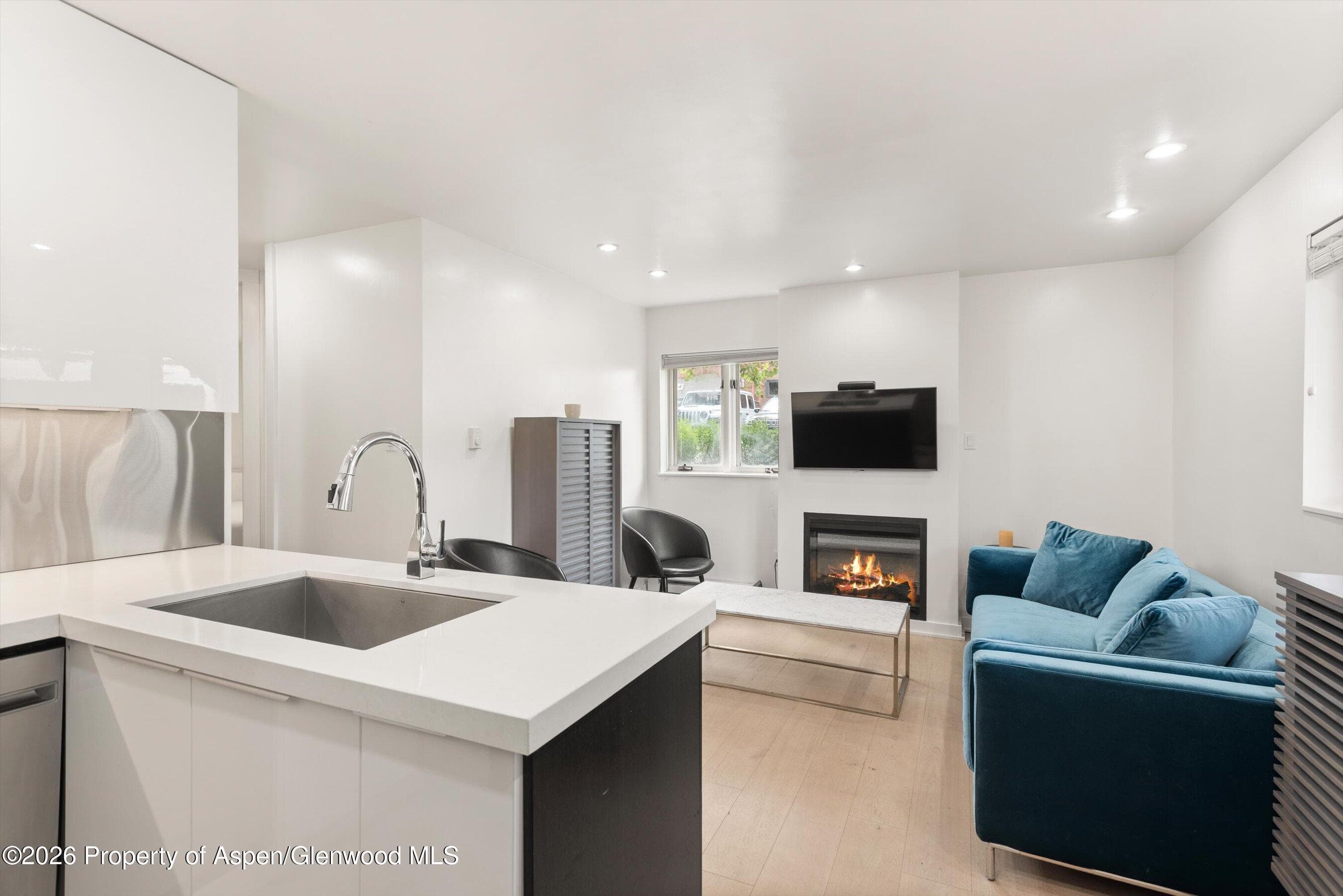 805 E Cooper Avenue 2, Aspen, CO 81611 - Photo 7