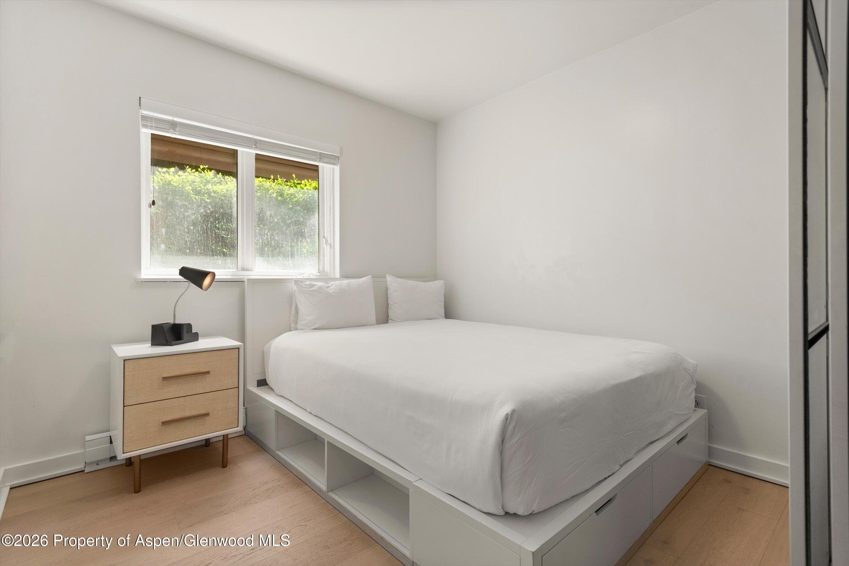805 E Cooper Avenue 2, Aspen, CO 81611 - Photo 8