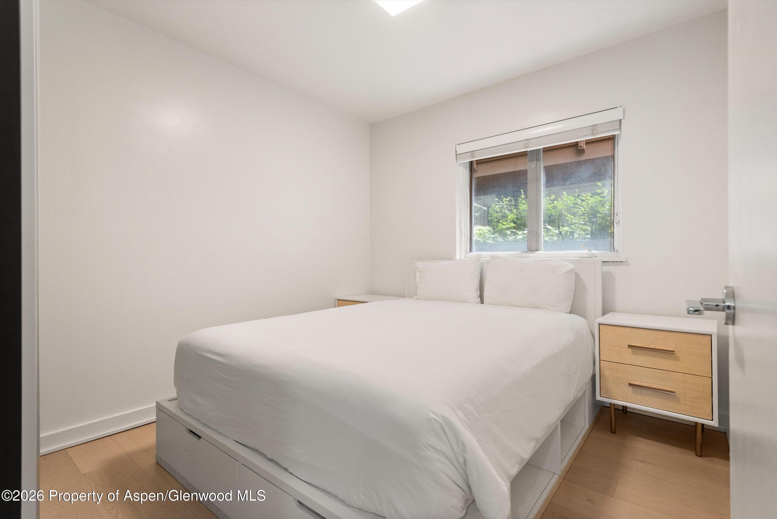 805 E Cooper Avenue 2, Aspen, CO 81611 - Photo 10