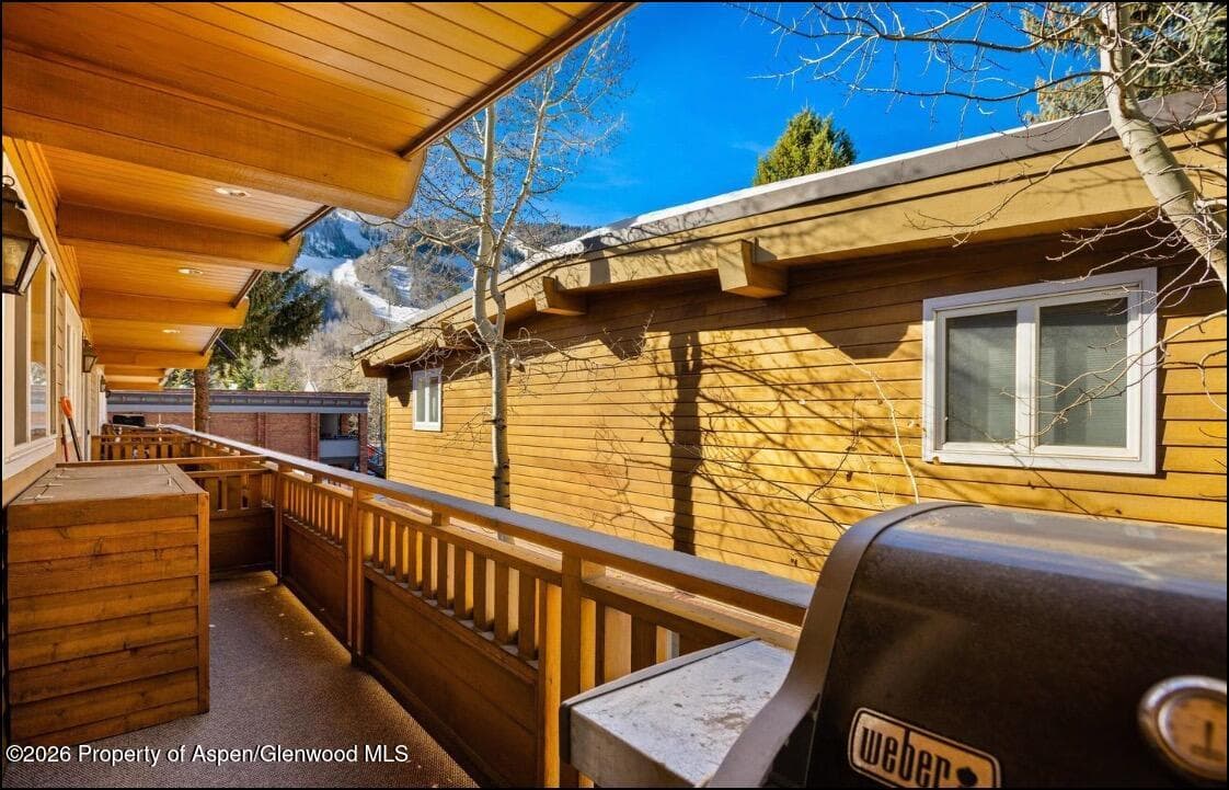 805 E Cooper Avenue 12, Aspen, CO 81611 - Photo 13