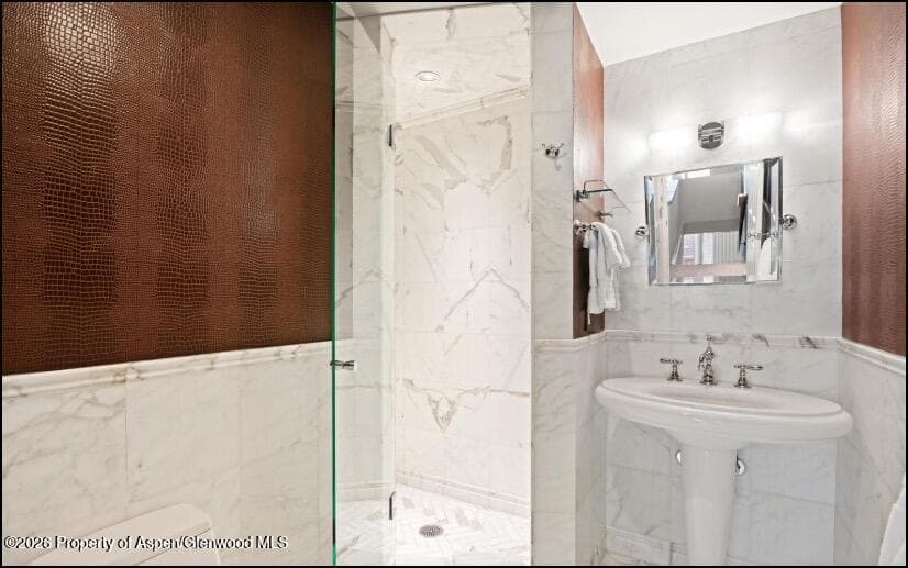 805 E Cooper Avenue 12, Aspen, CO 81611 - Photo 8