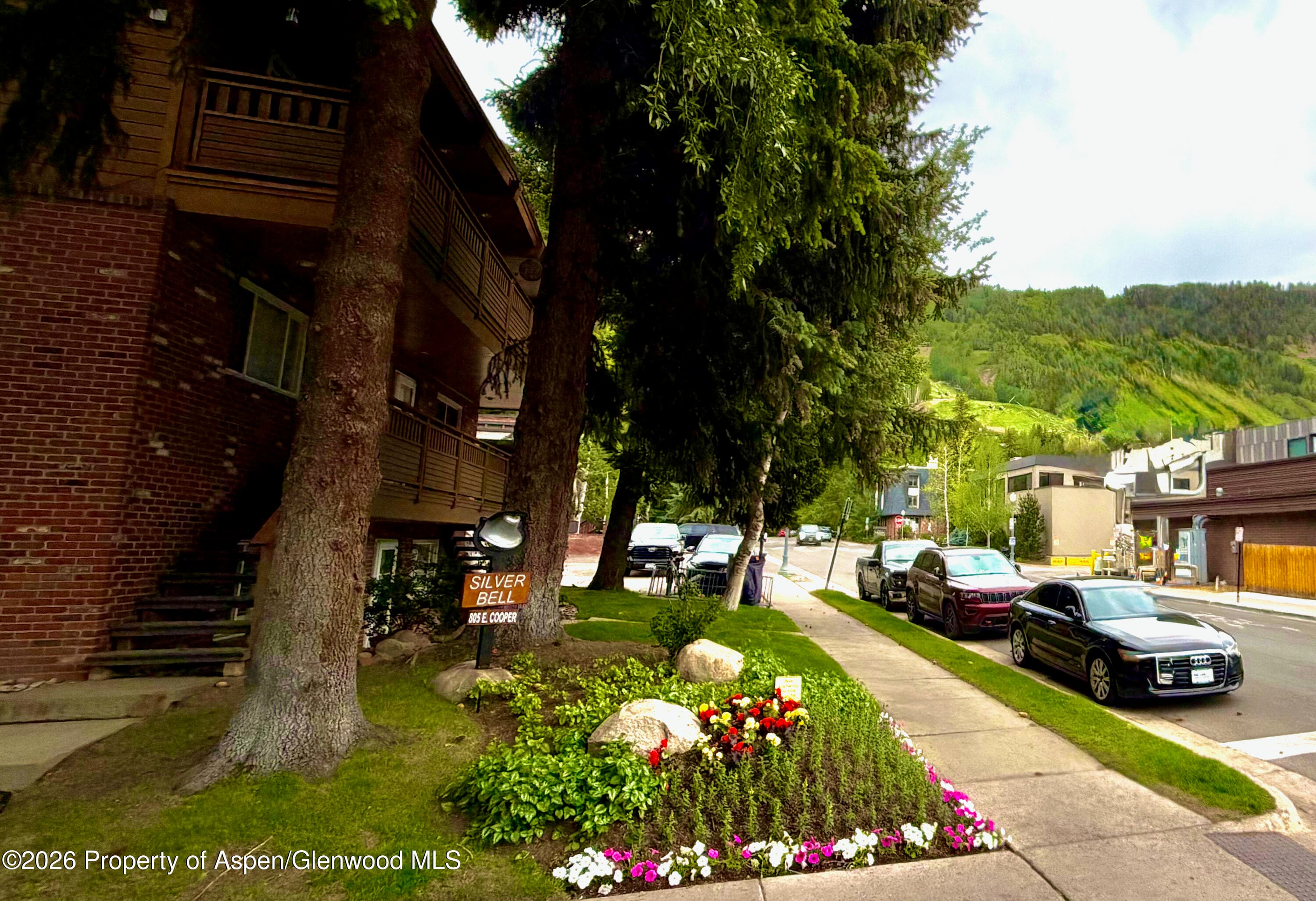 805 E Cooper Avenue 12, Aspen, CO 81611 - Photo 3