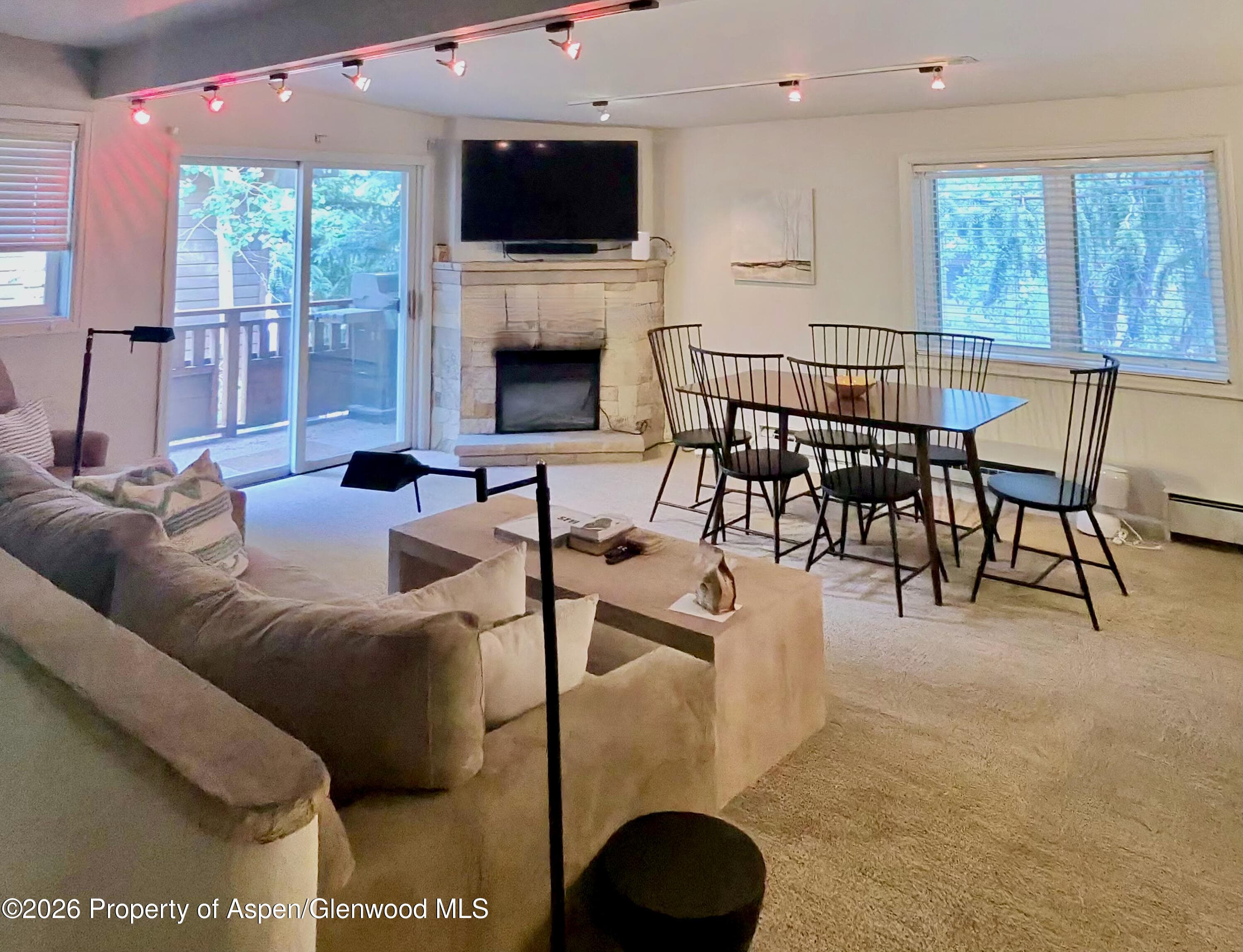 805 E Cooper Avenue 12, Aspen, CO 81611 - Photo 5