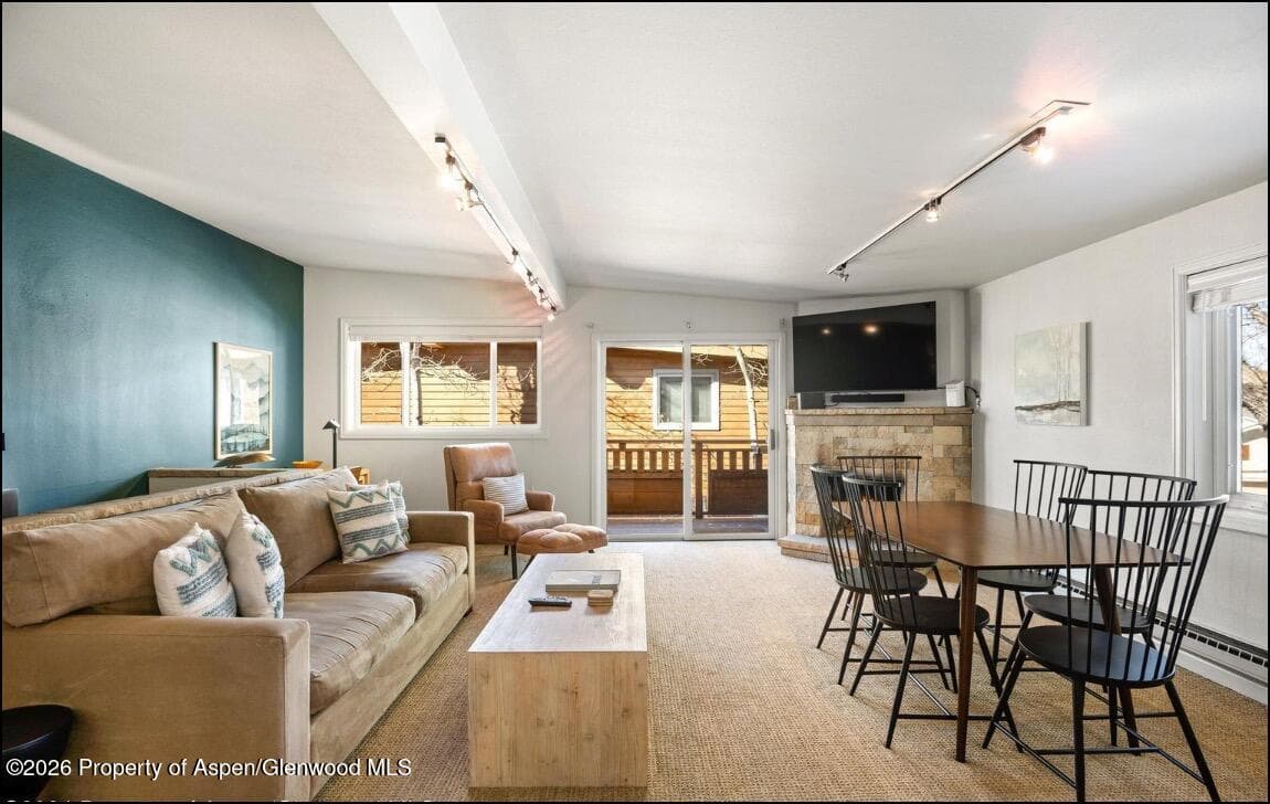 805 E Cooper Avenue 12, Aspen, CO 81611 - Photo 6