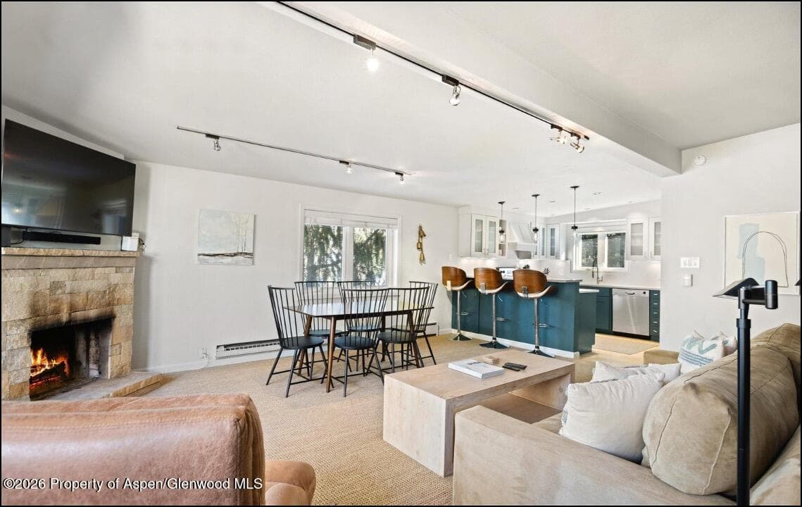 805 E Cooper Avenue 12, Aspen, CO 81611 - Photo 4
