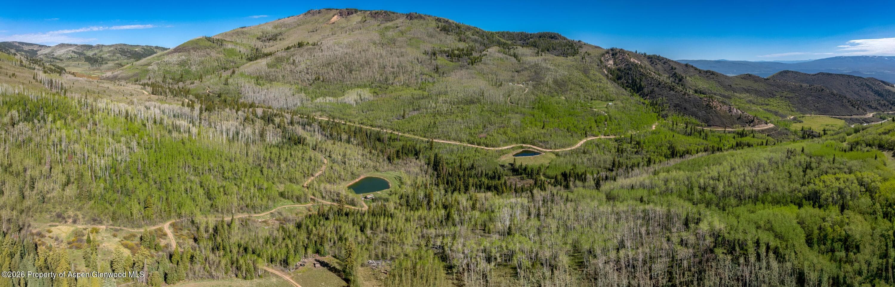 Tbd Forest Service Road 300 Pond, Glenwood Springs, CO 81601 - Photo 3