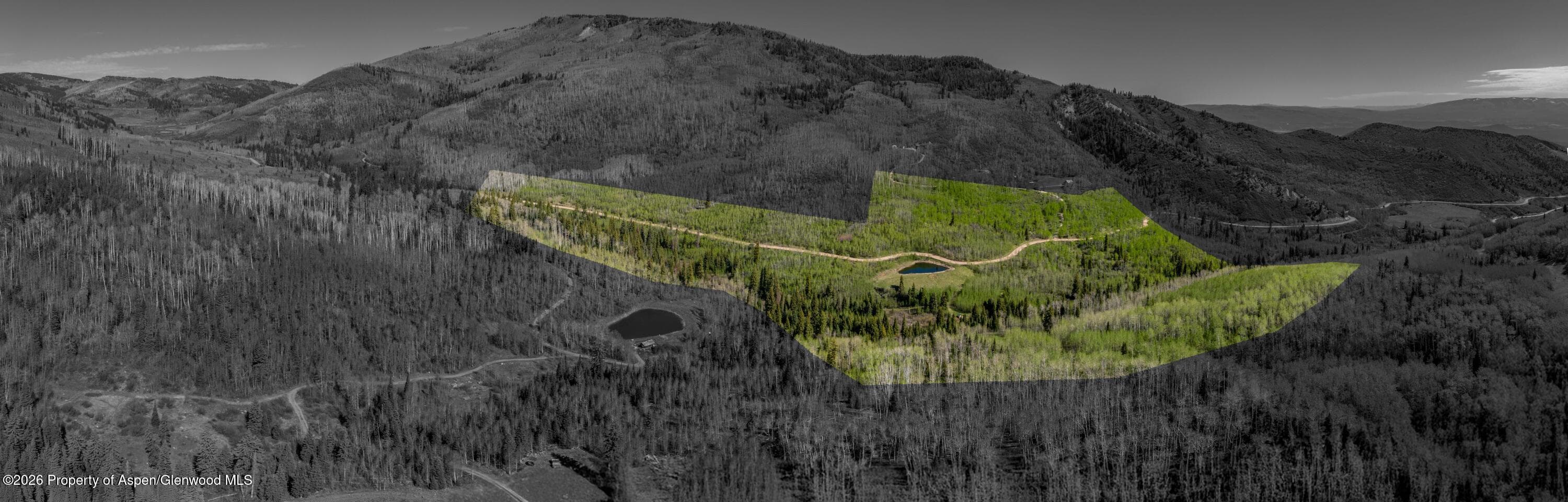 Tbd Forest Service Road 300 Pond, Glenwood Springs, CO 81601 - Photo 6
