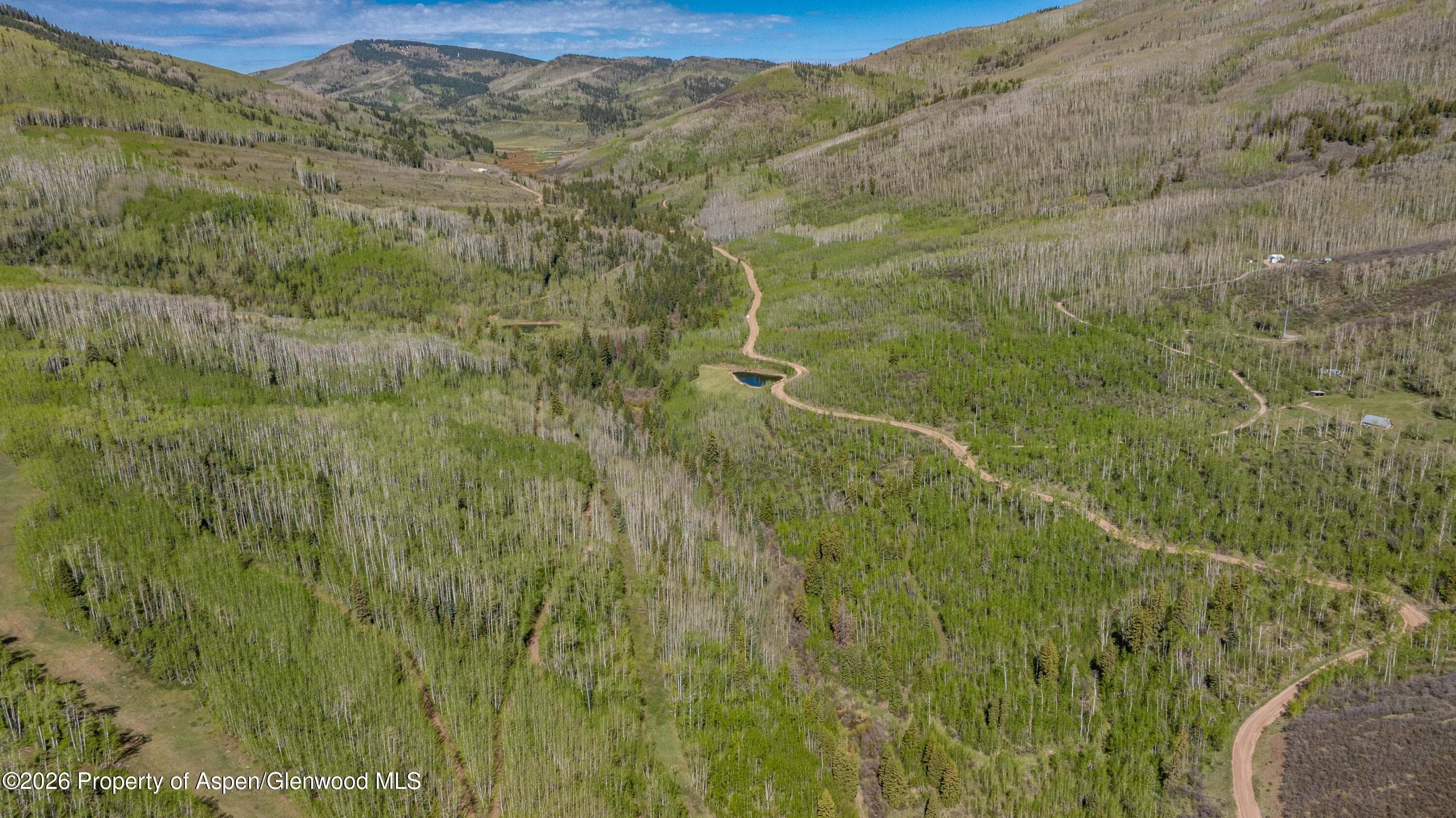 Tbd Forest Service Road 300 Pond, Glenwood Springs, CO 81601 - Photo 8