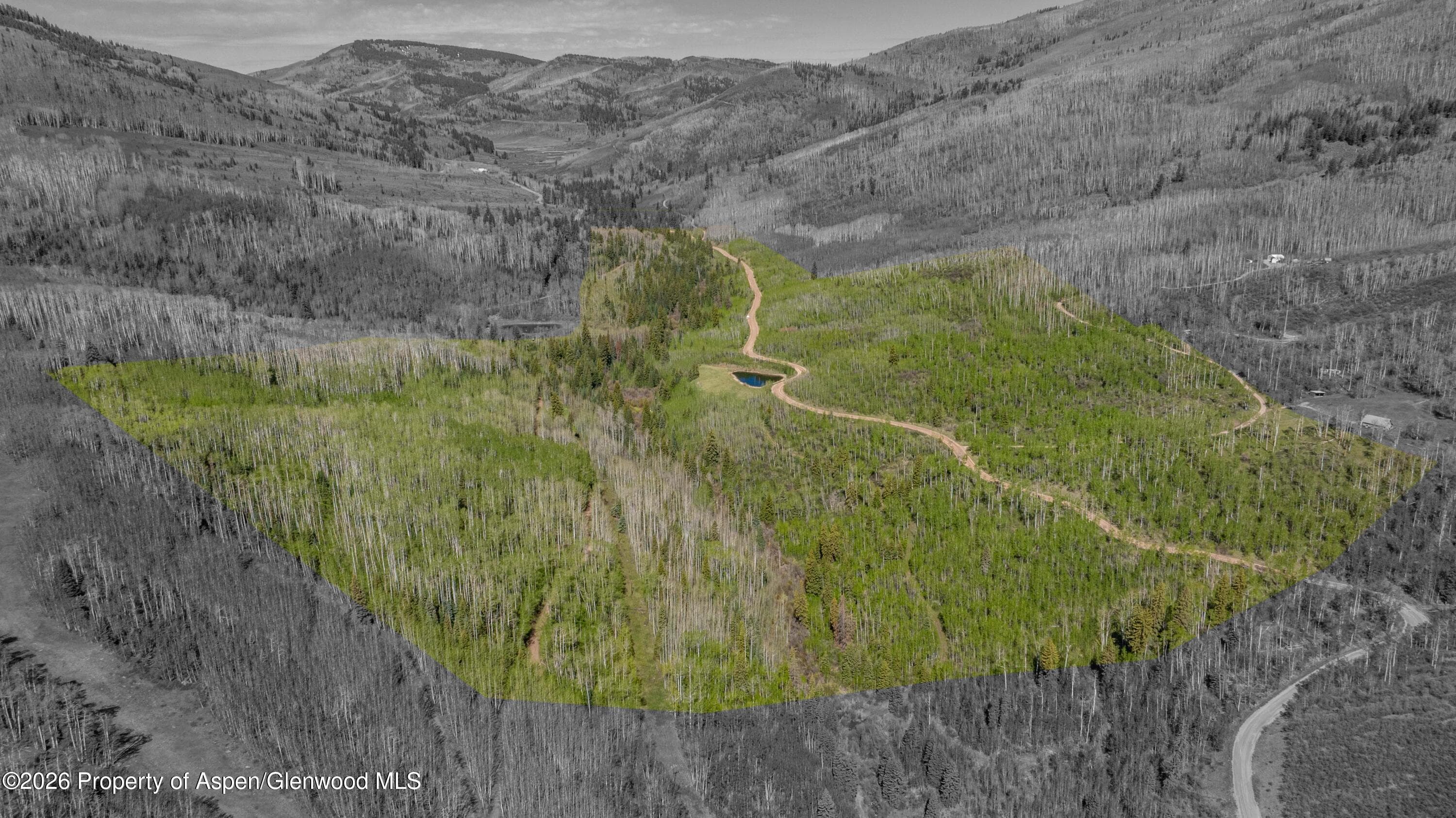 Tbd Forest Service Road 300 Pond, Glenwood Springs, CO 81601 - Photo 9