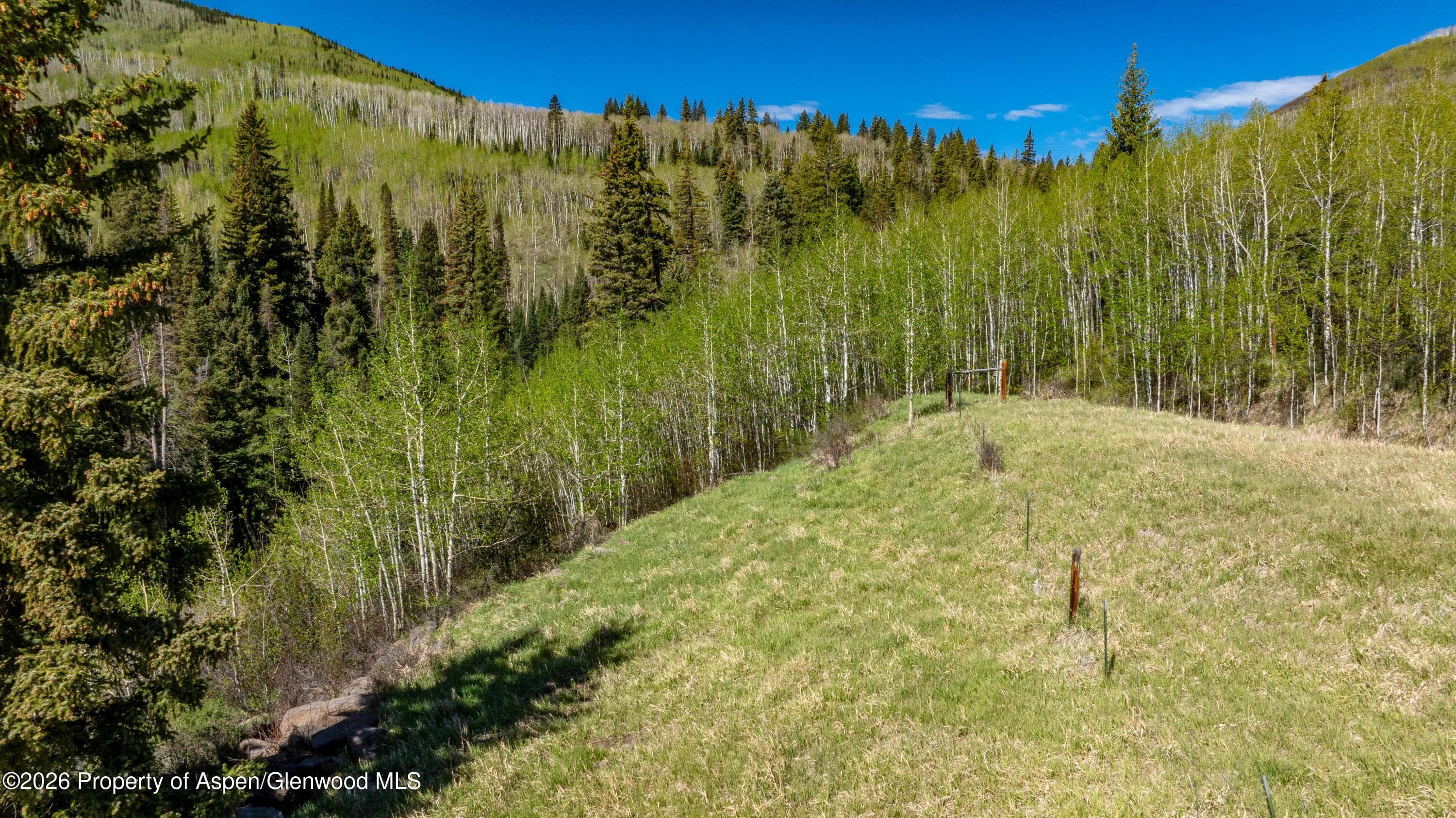 Tbd Forest Service Road 300 Pond, Glenwood Springs, CO 81601 - Photo 2