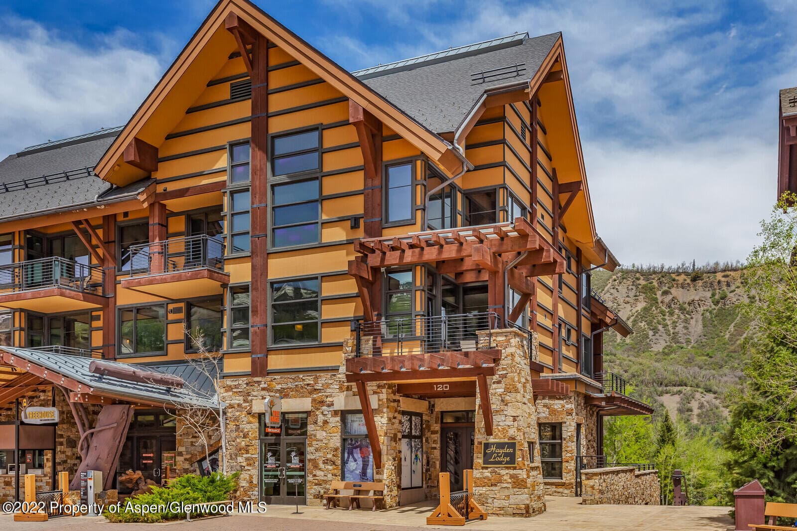 120 Carriage Way 2206, Snowmass Village, CO 81615