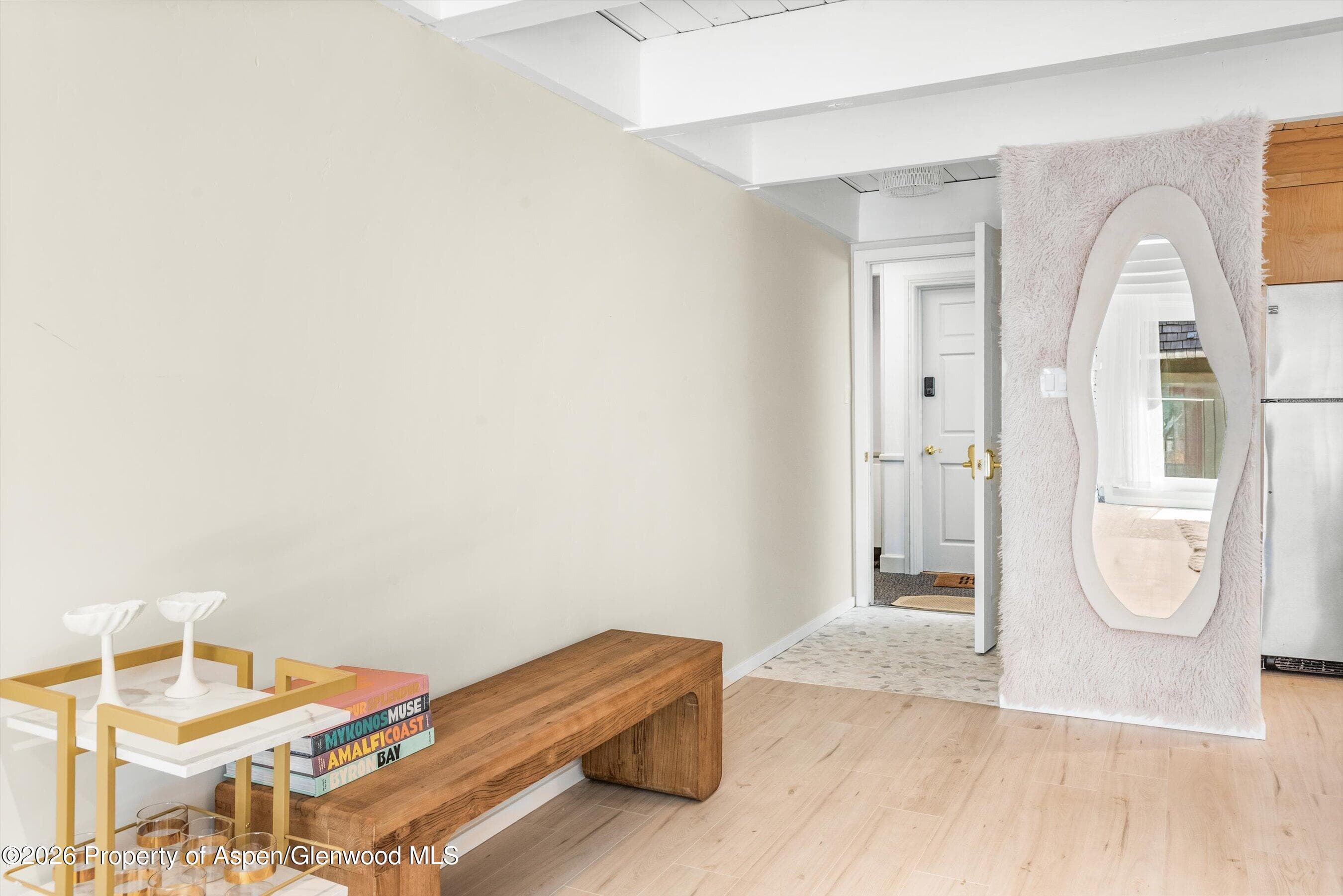 901 E Hyman Avenue 14, Aspen, CO 81611 - Photo 9
