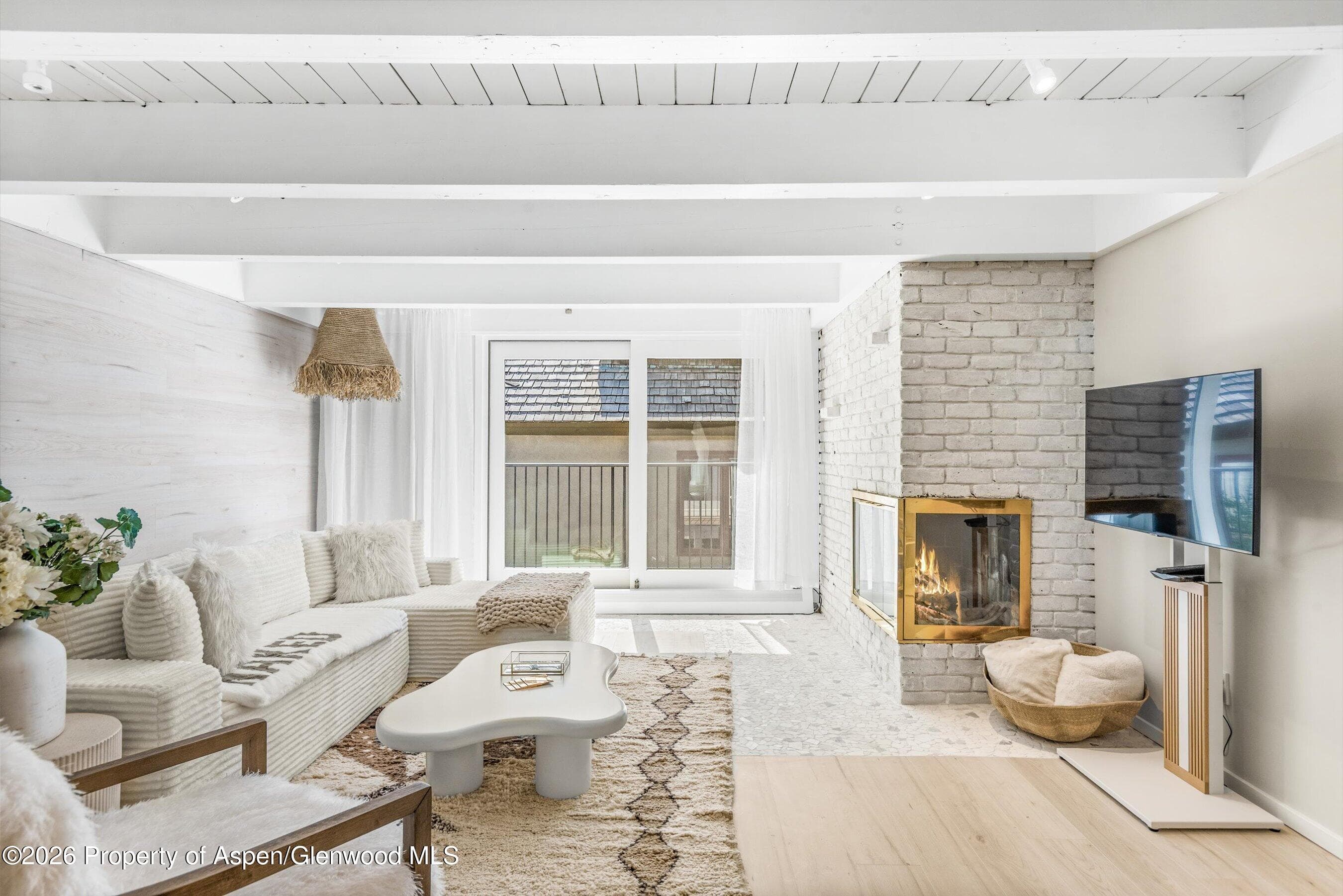 901 E Hyman Avenue 14, Aspen, CO 81611 - Photo 4