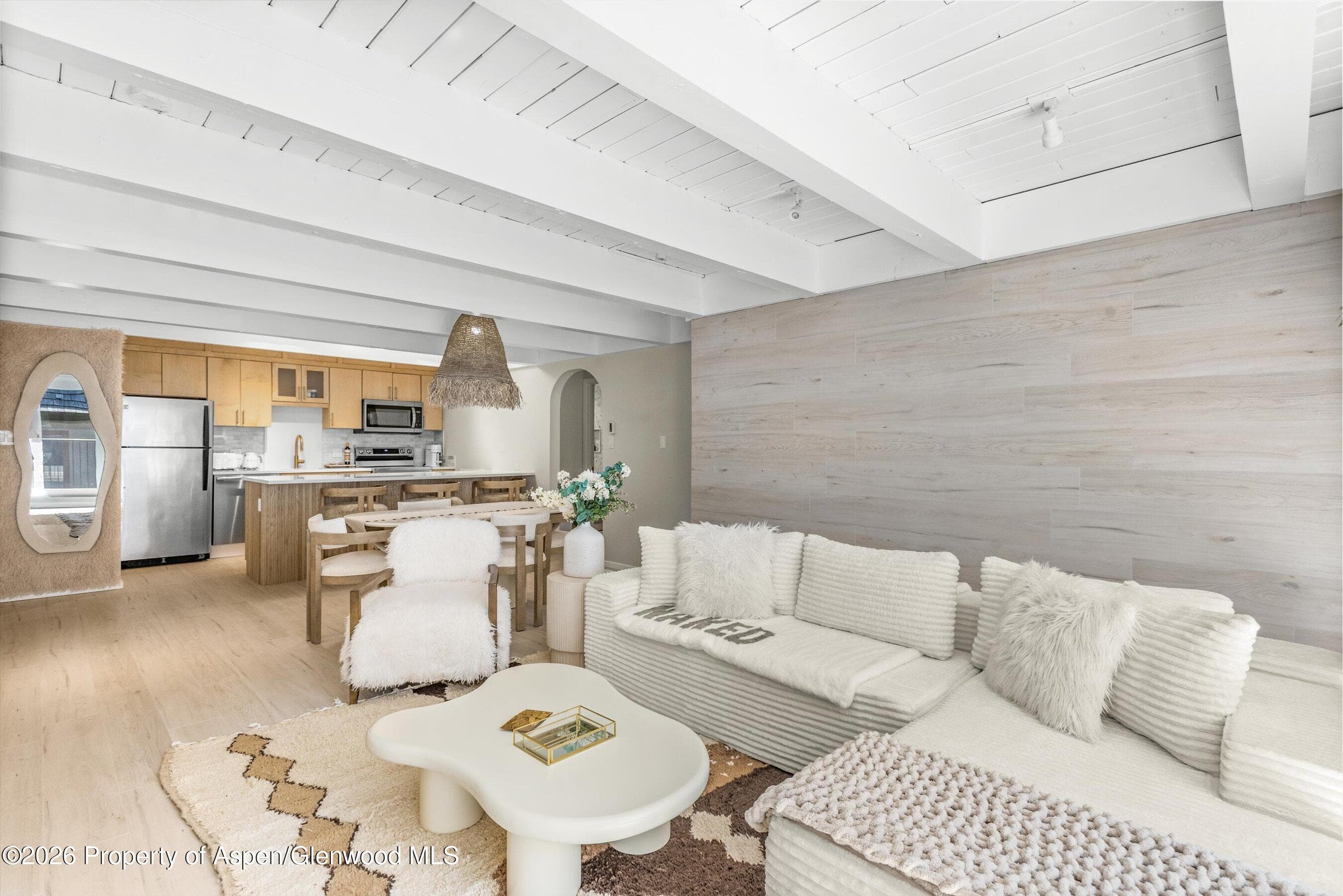 901 E Hyman Avenue 14, Aspen, CO 81611 - Photo 2
