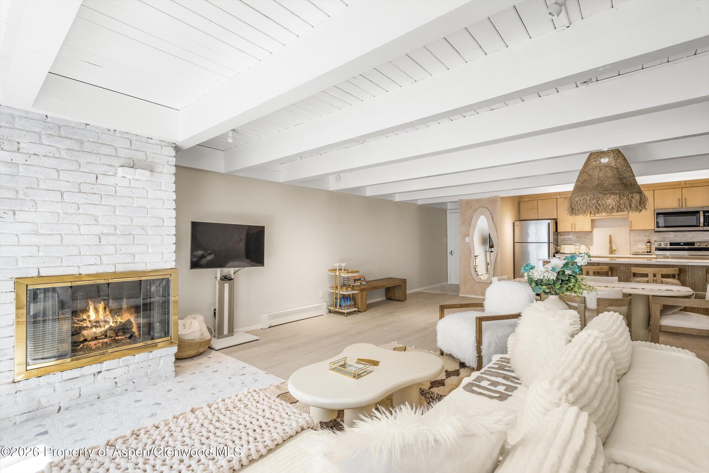 901 E Hyman Avenue 14, Aspen, CO 81611 - Photo 3
