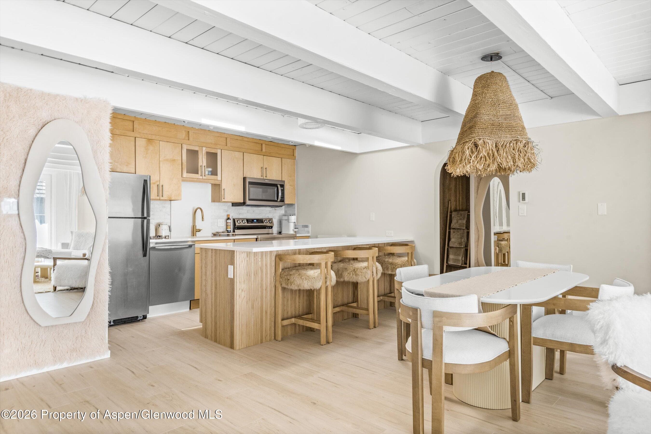 901 E Hyman Avenue 14, Aspen, CO 81611 - Photo 7