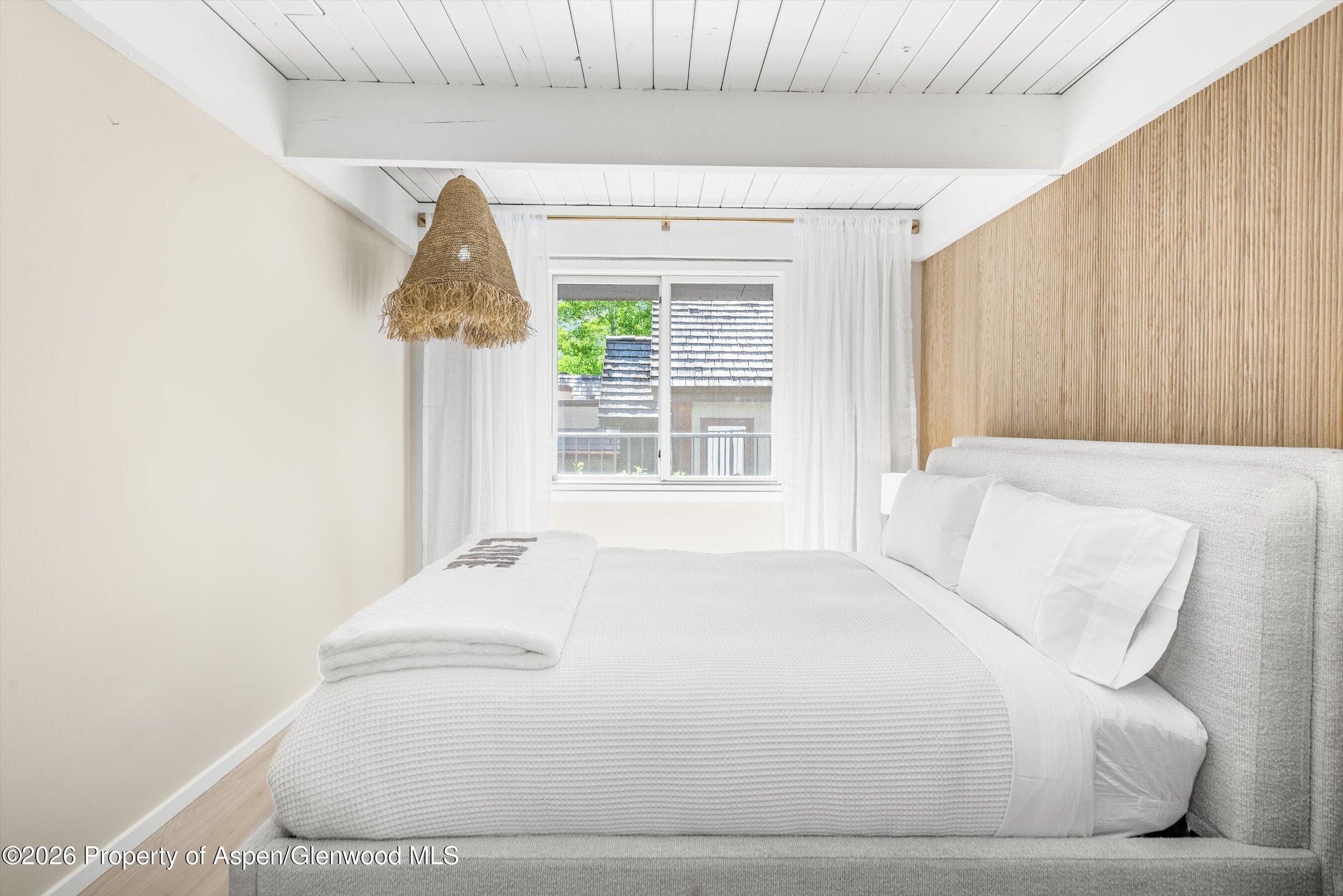 901 E Hyman Avenue 14, Aspen, CO 81611 - Photo 10