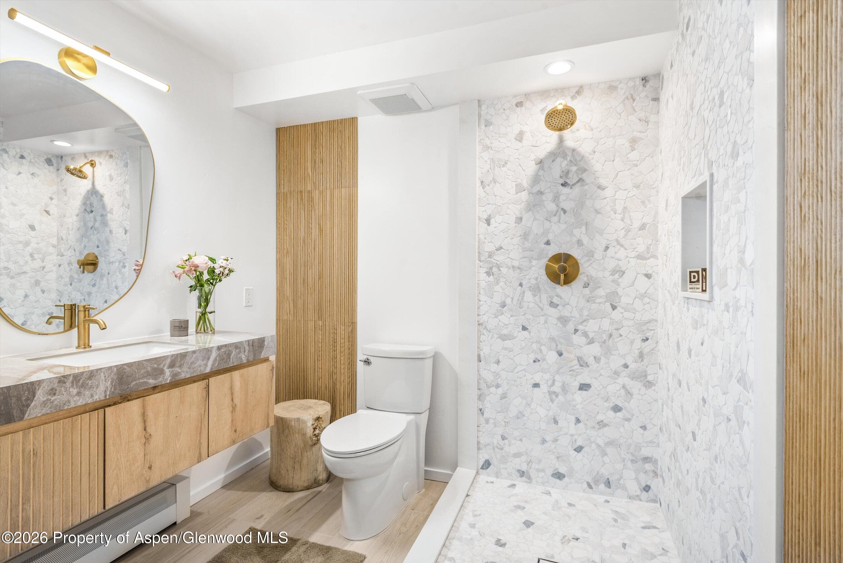 901 E Hyman Avenue 14, Aspen, CO 81611 - Photo 12