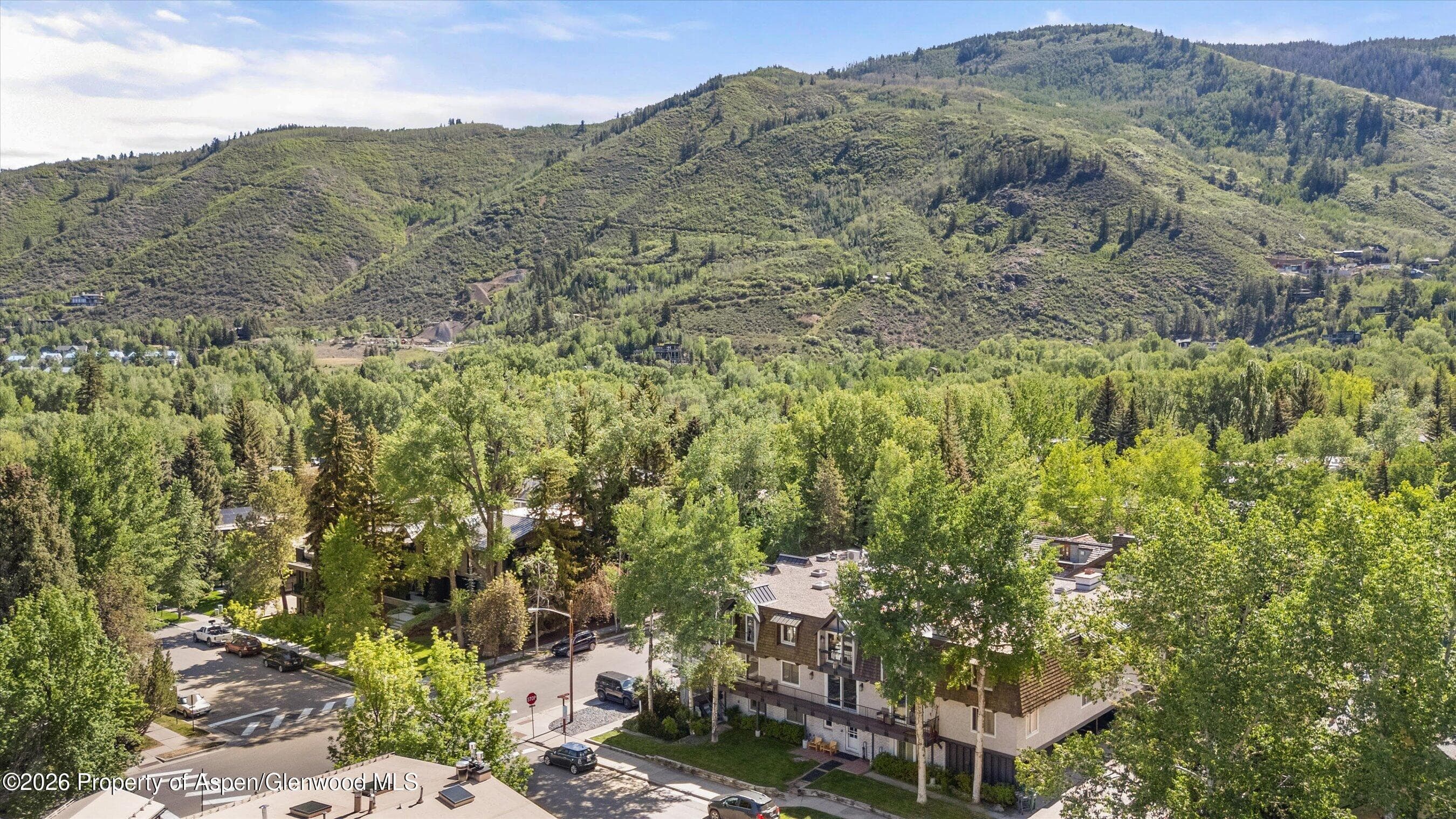 901 E Hyman Avenue 14, Aspen, CO 81611 - Photo 16