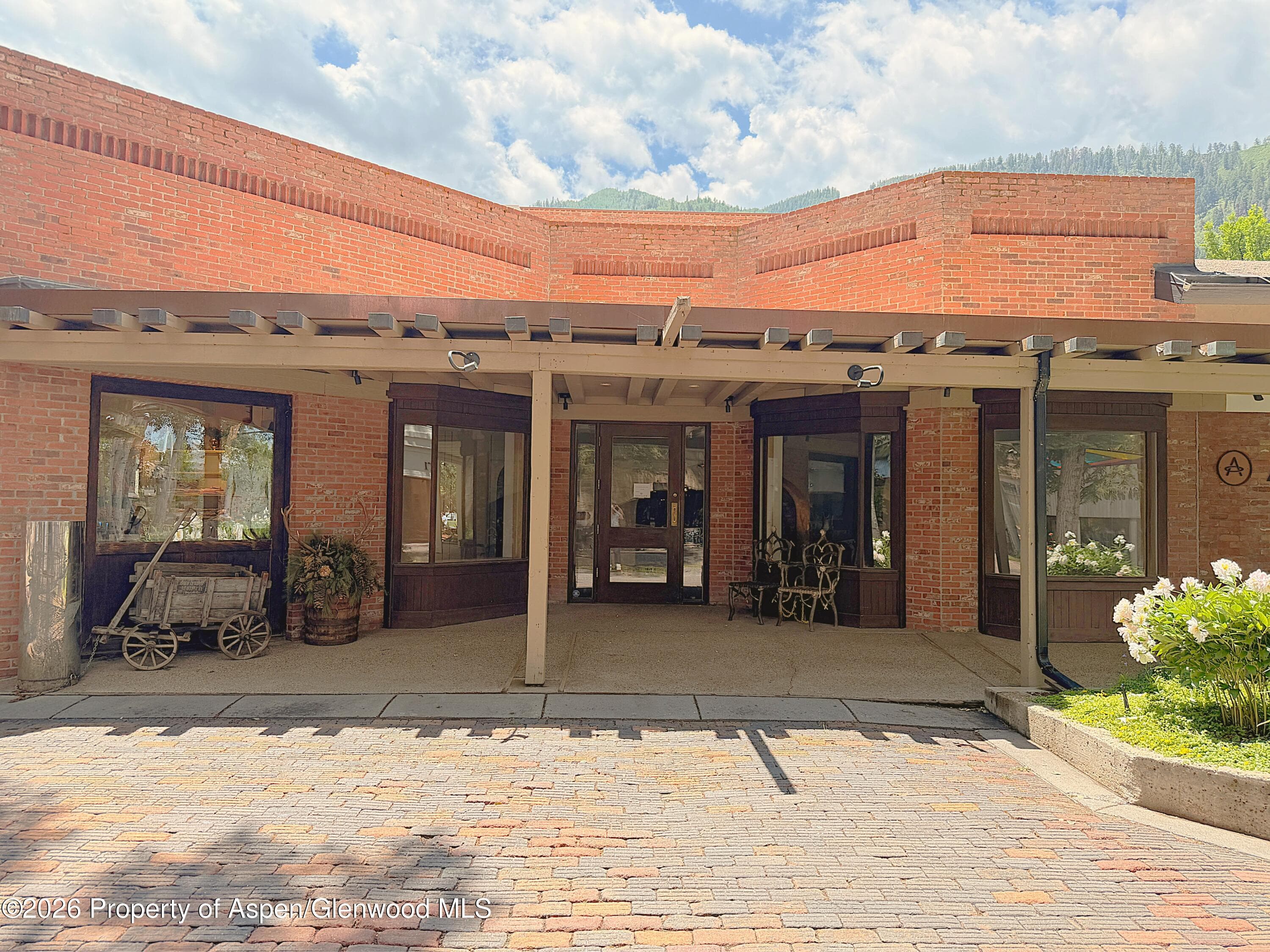 419 E Cooper Avenue, Aspen, CO 81611