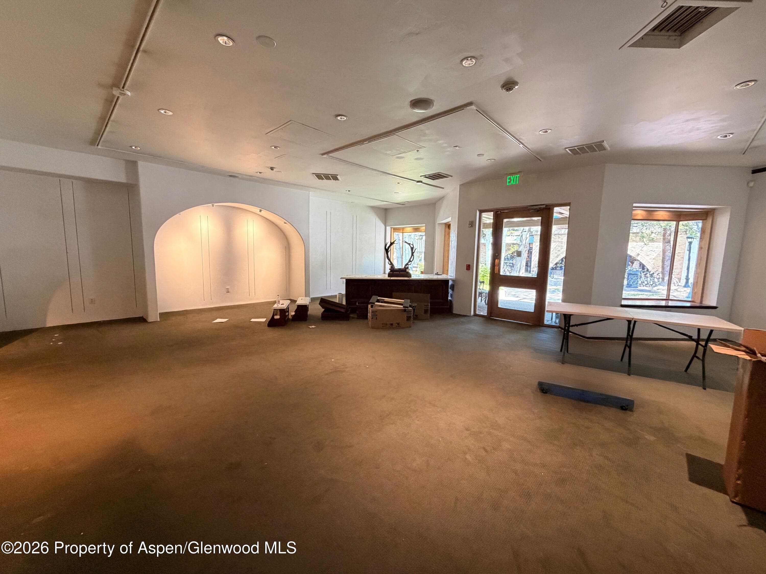 419 E Cooper Avenue, Aspen, CO 81611 - Photo 11